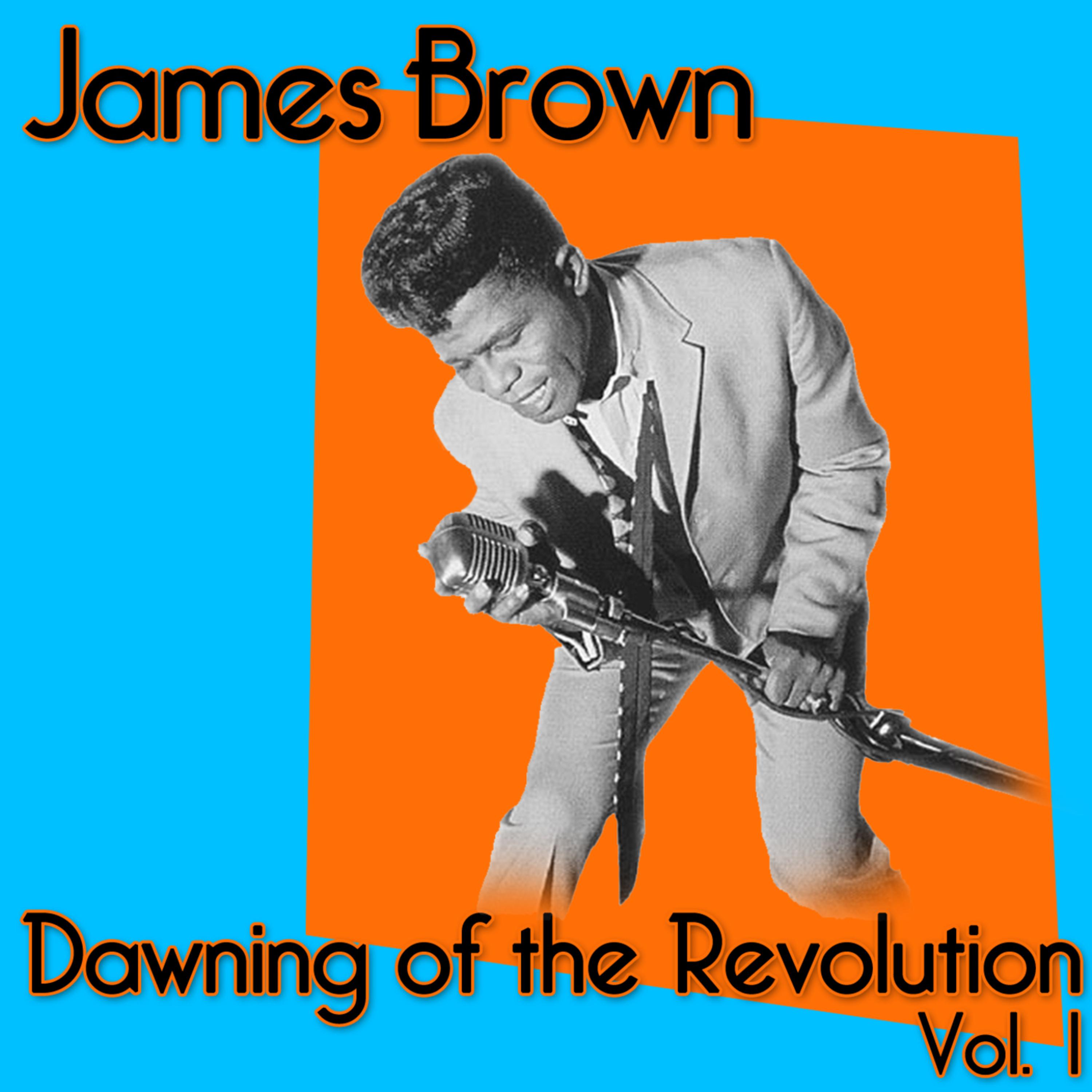 James Brown - Dawning Of The Revolution - Volume 1