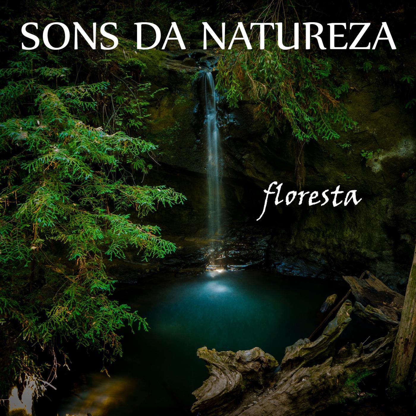 Sons da Natureza: Floresta, Pt. 04