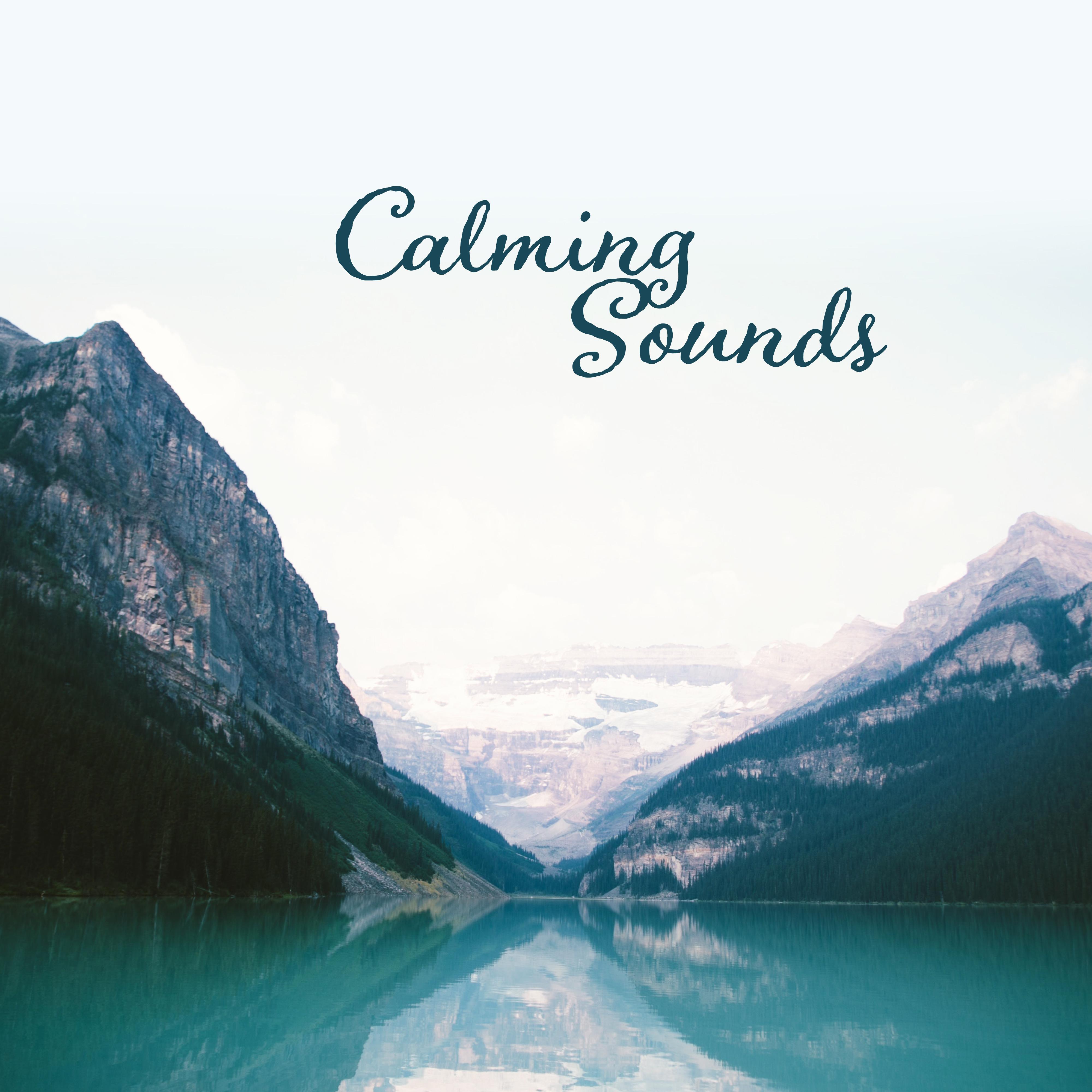 Calming Sounds: Sleep Ambience 2019, Deep Relaxation, Harmony, Inner Balance, Sounds of Nature