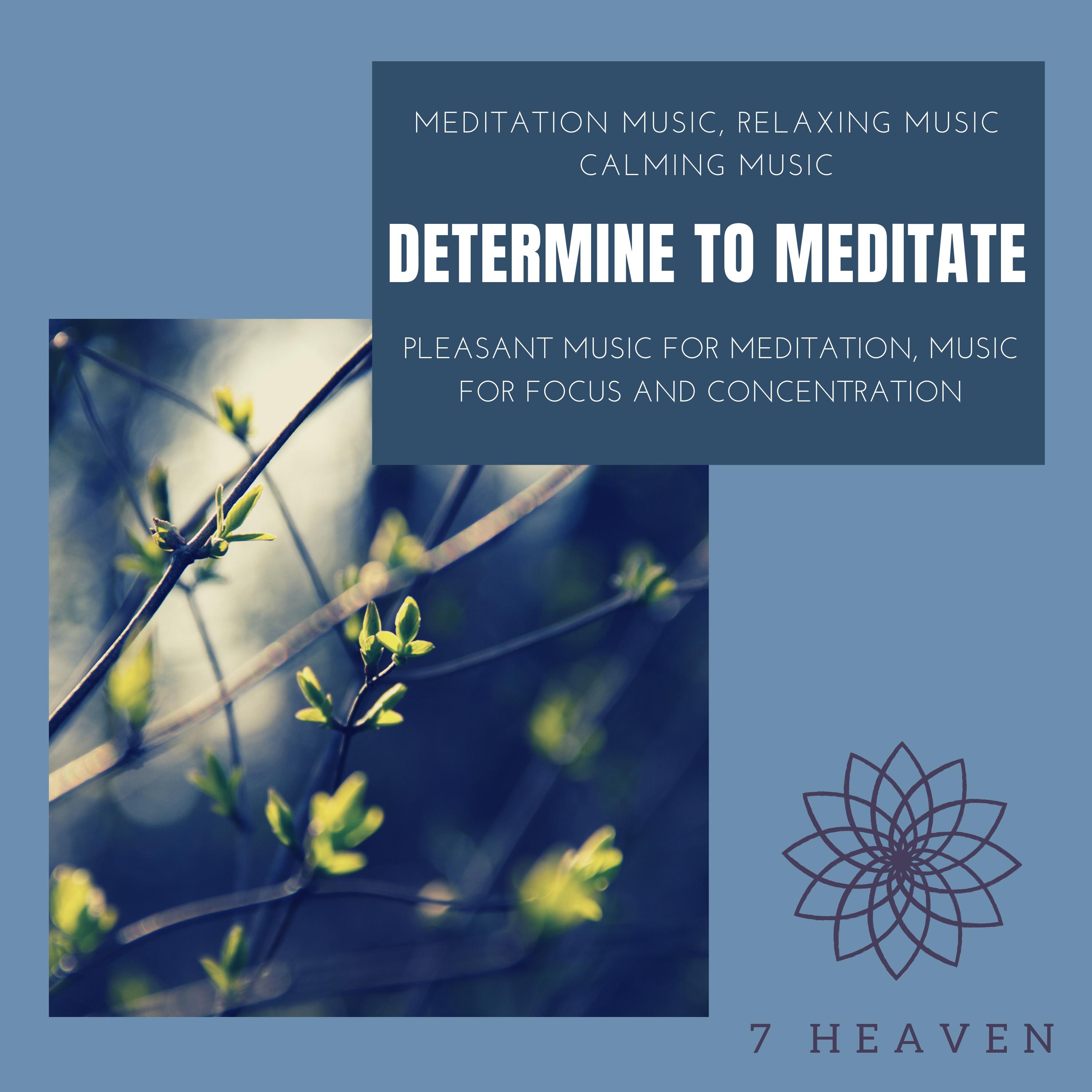 Determine To Meditate (Meditation Music, Relaxing Music, Calming Music, Pleasant Music For Meditation, Music For Focus And Concentration)