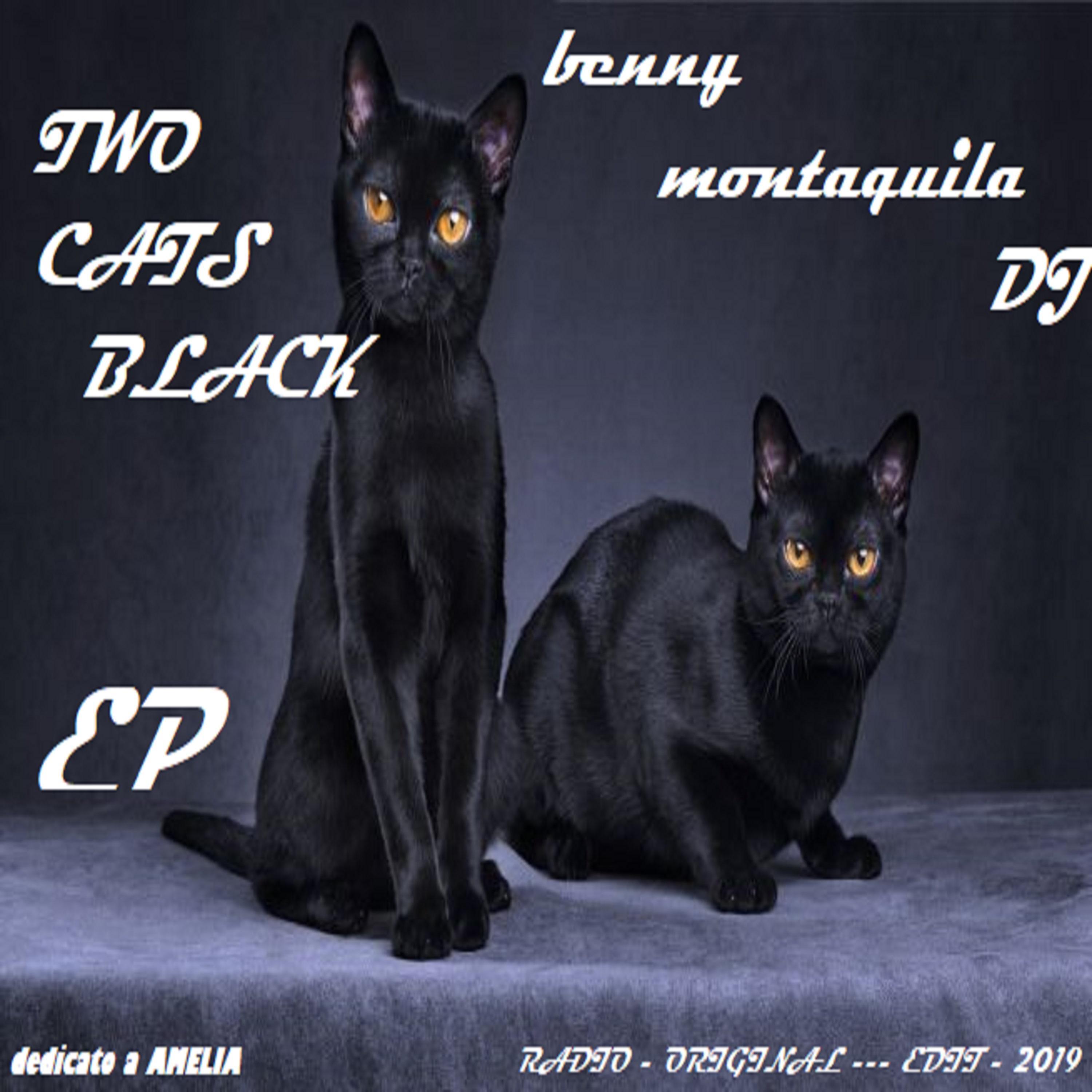 Two Cats Black EP