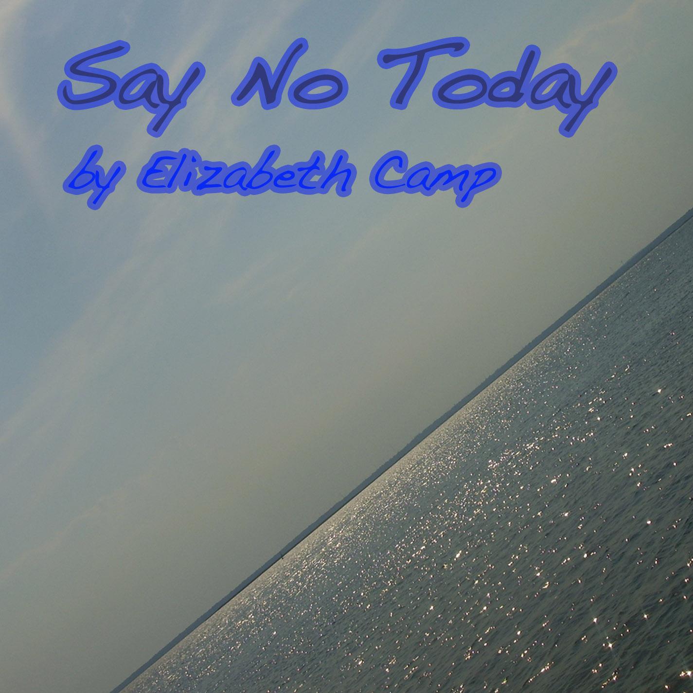 Say No Today