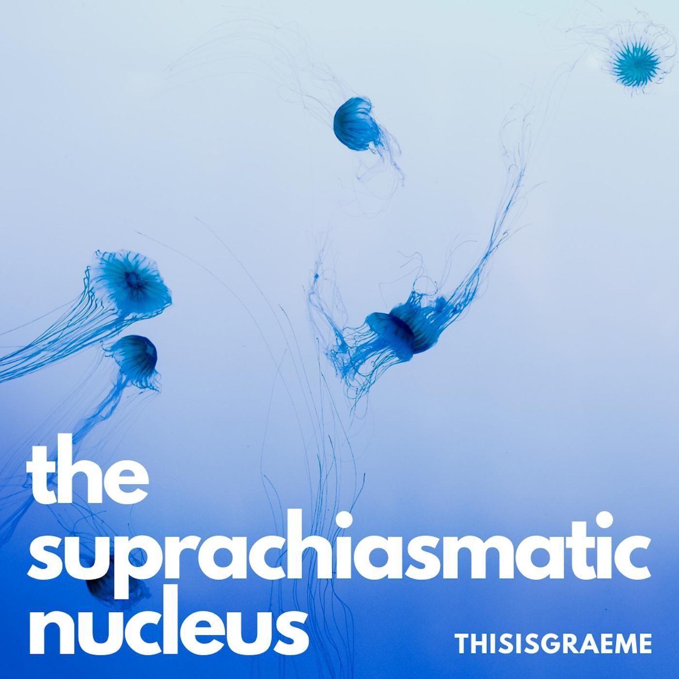 The Suprachiasmatic Nucleus