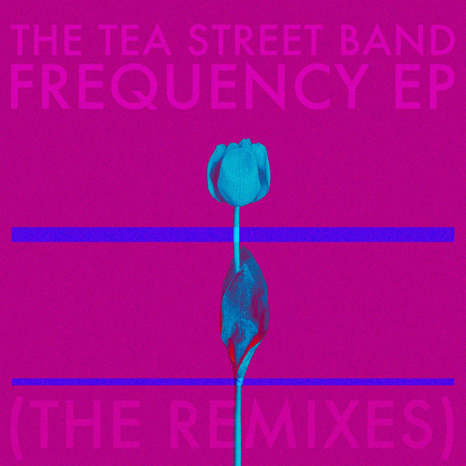 Frequency EP (The Remixes)