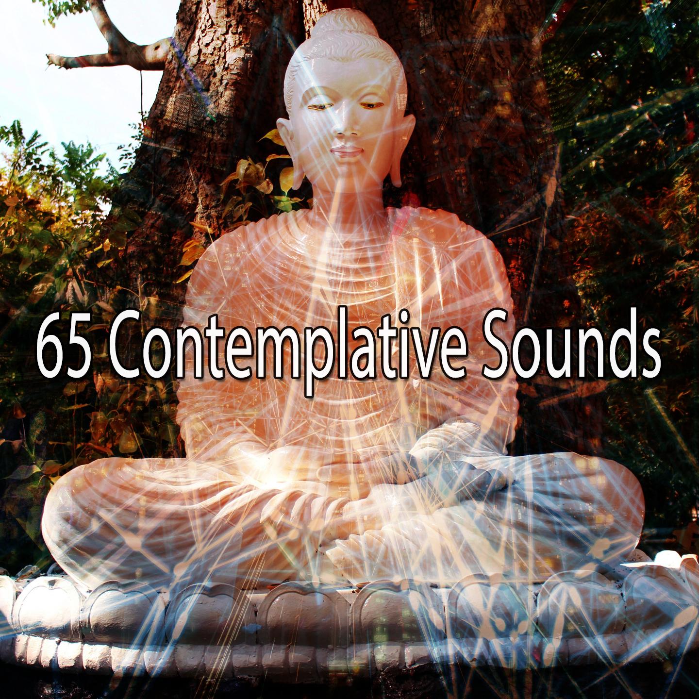 65 Contemplative Sounds