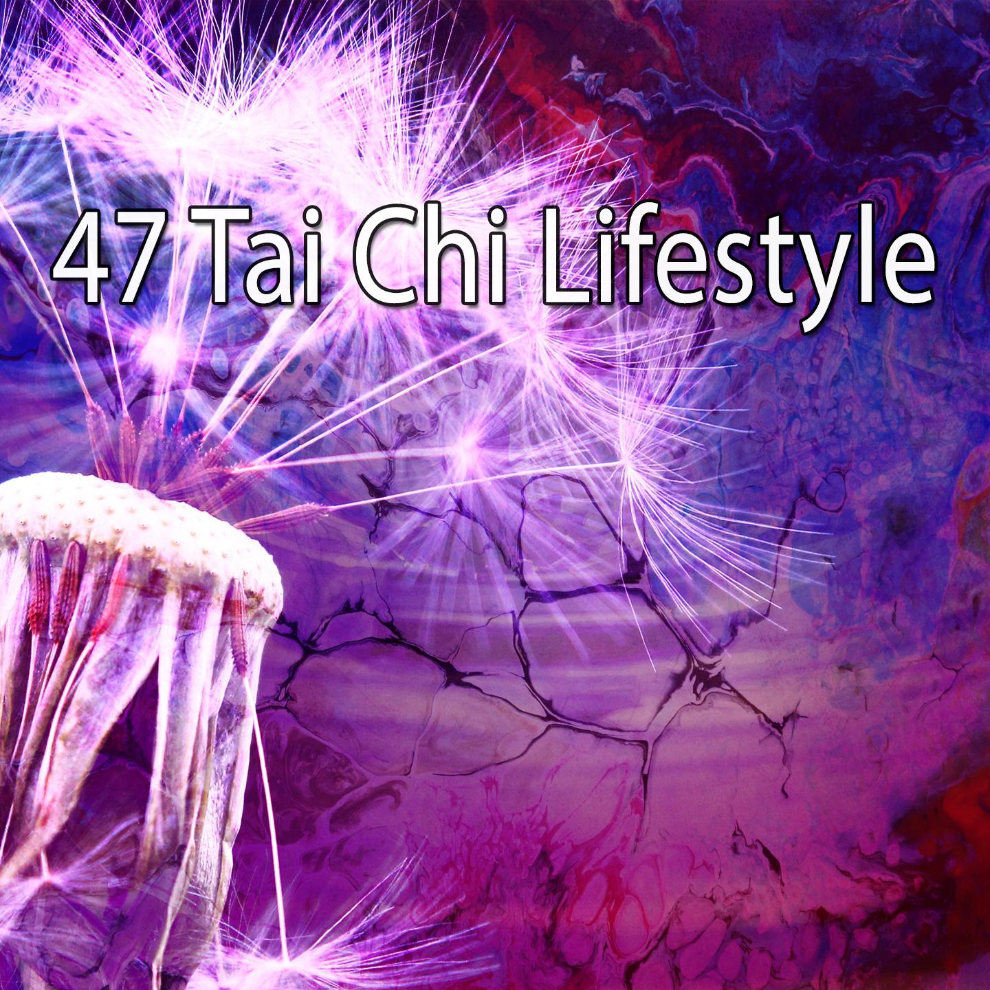 47 Tai Chi Lifestyle