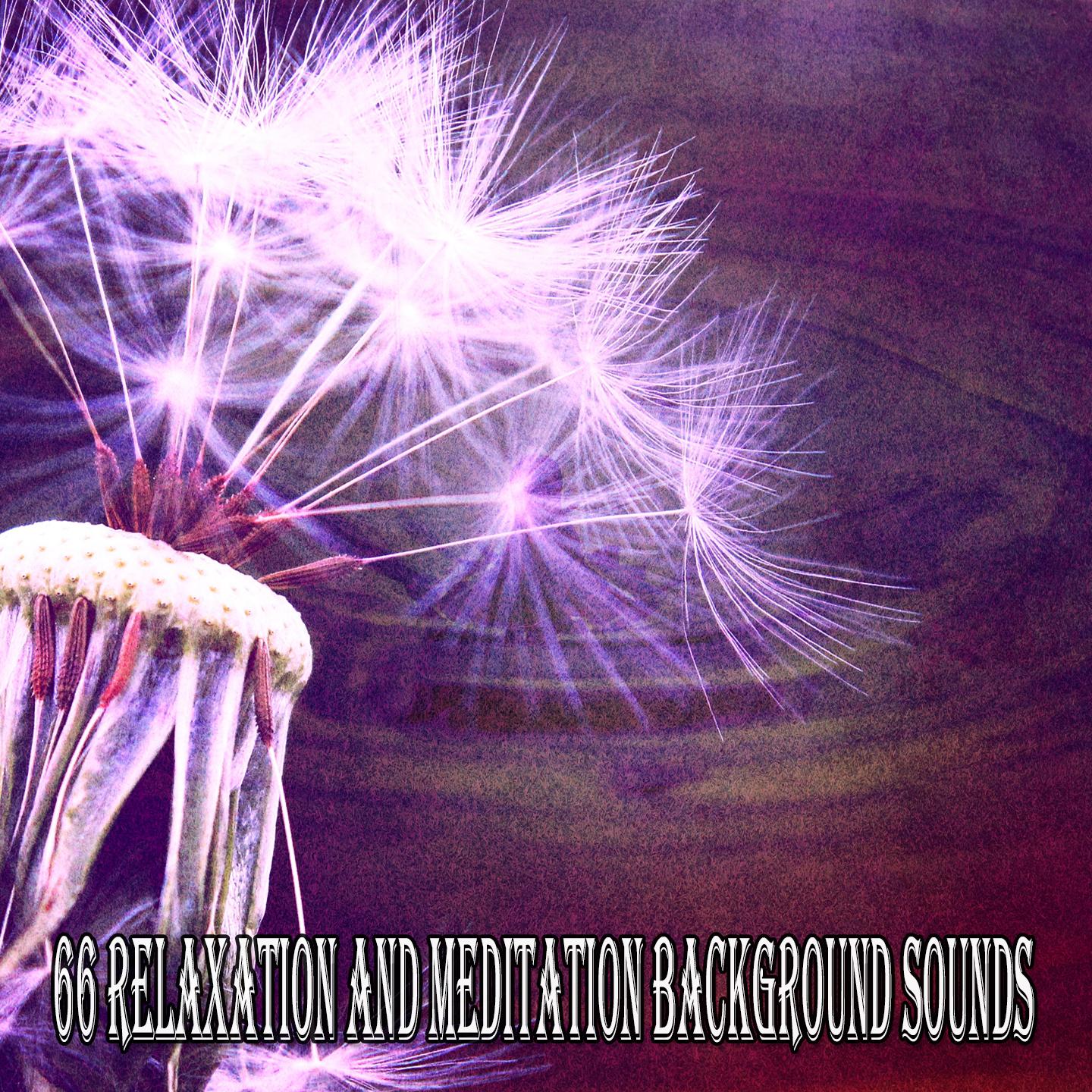 66 Relaxation and Meditation Background Sounds