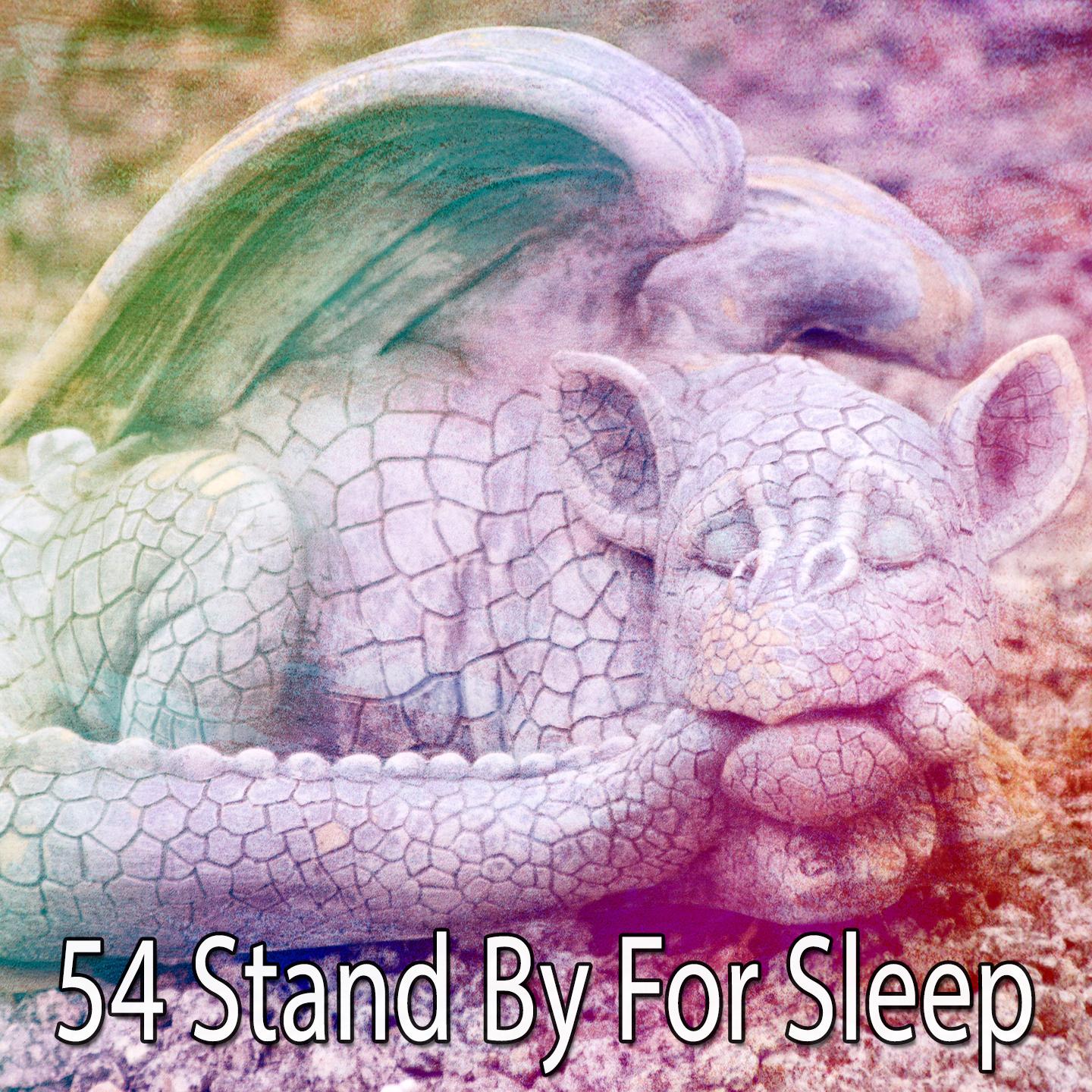 54 Stand By For Sleep