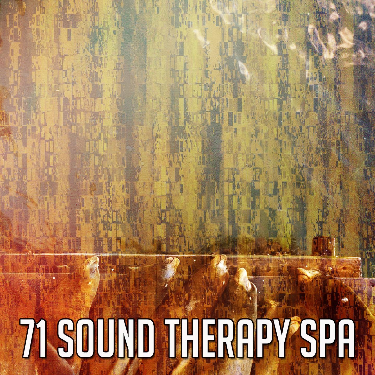 71 Sound Therapy Spa