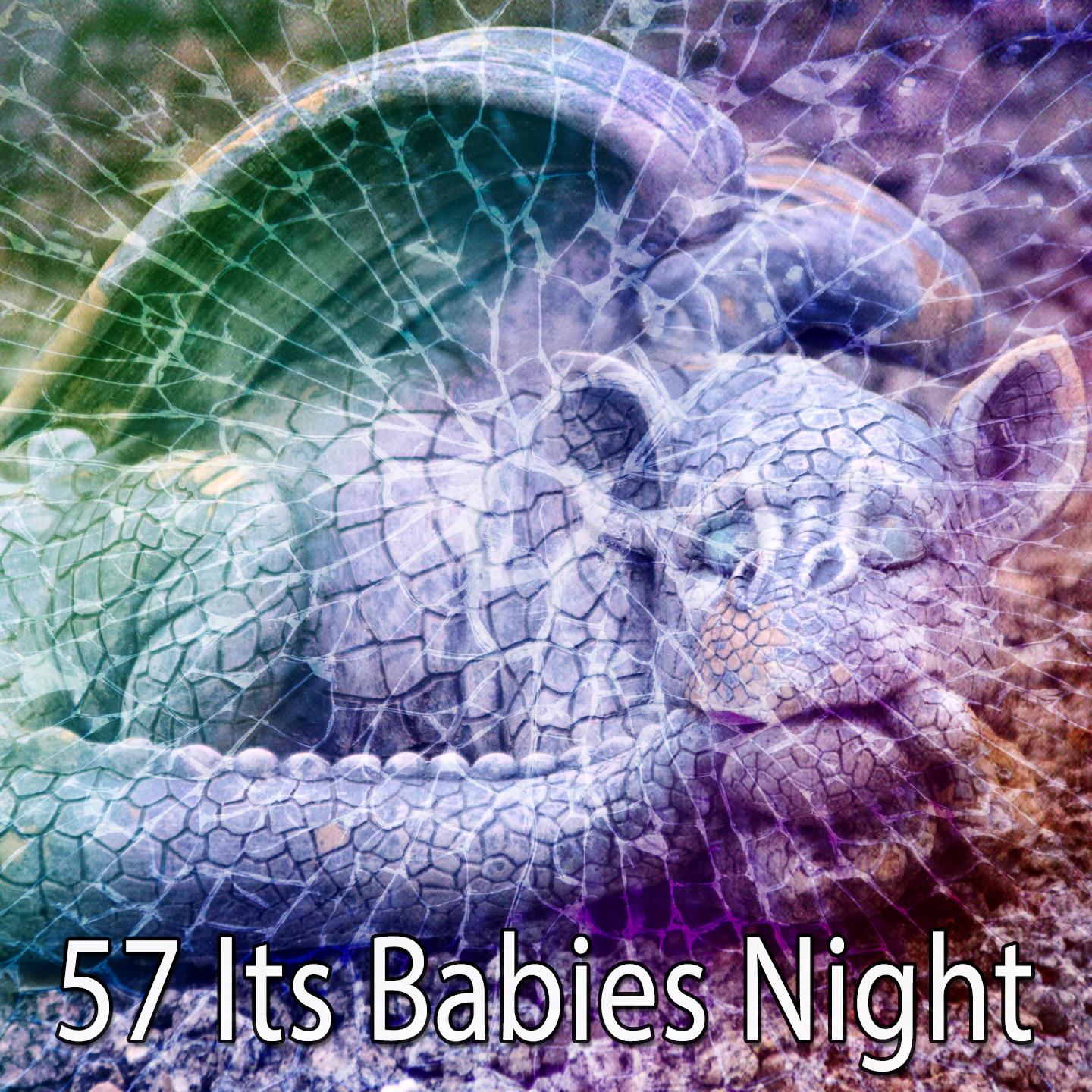 57 Its Babies Night