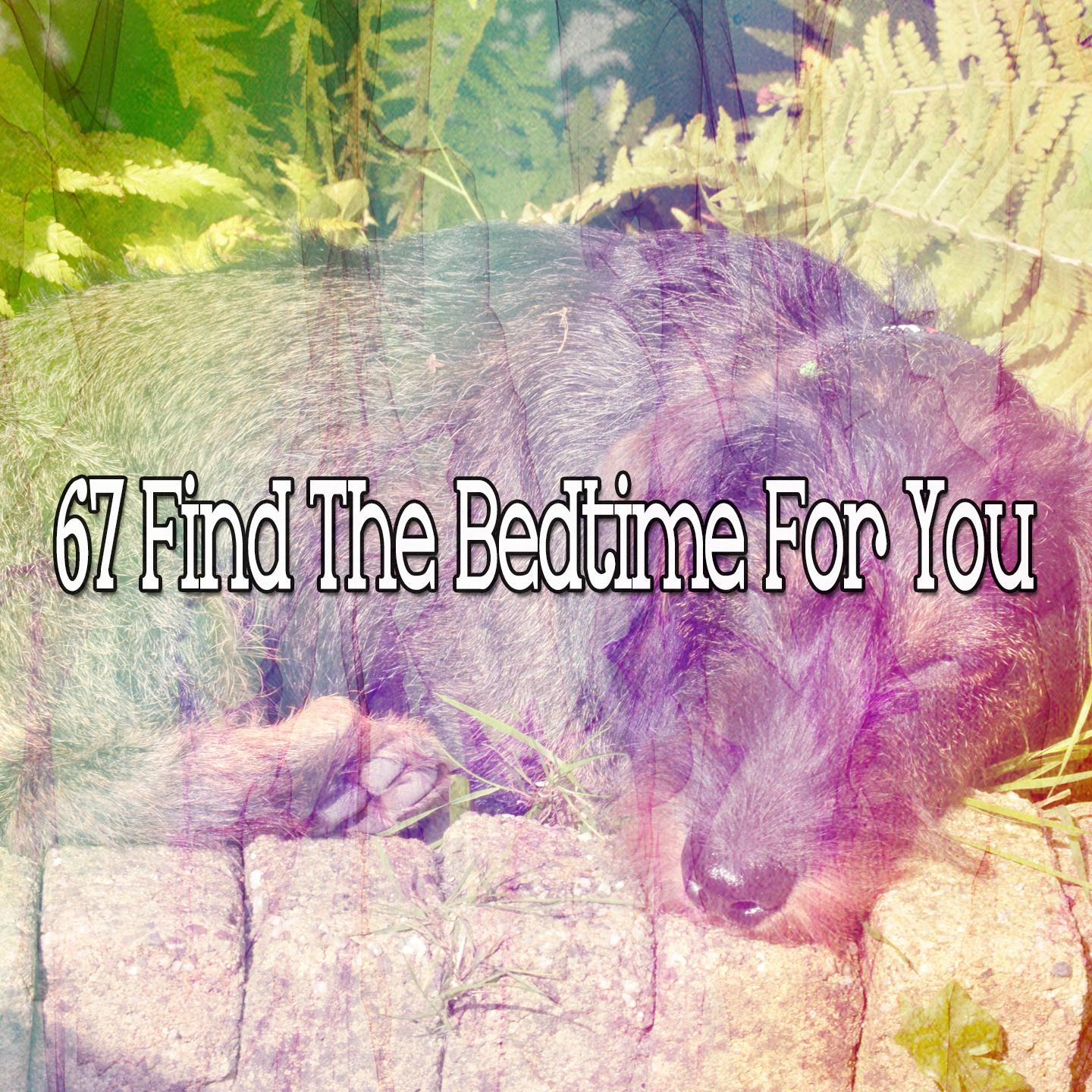 67 Find the Bedtime for You