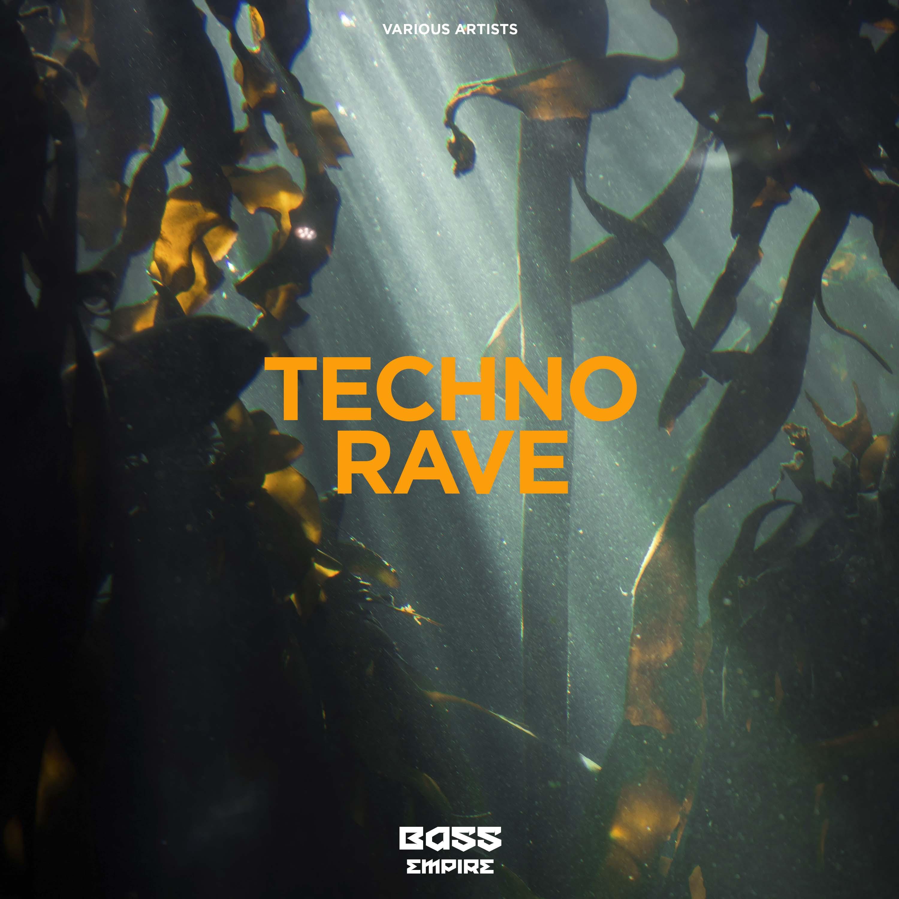 Techno Rave