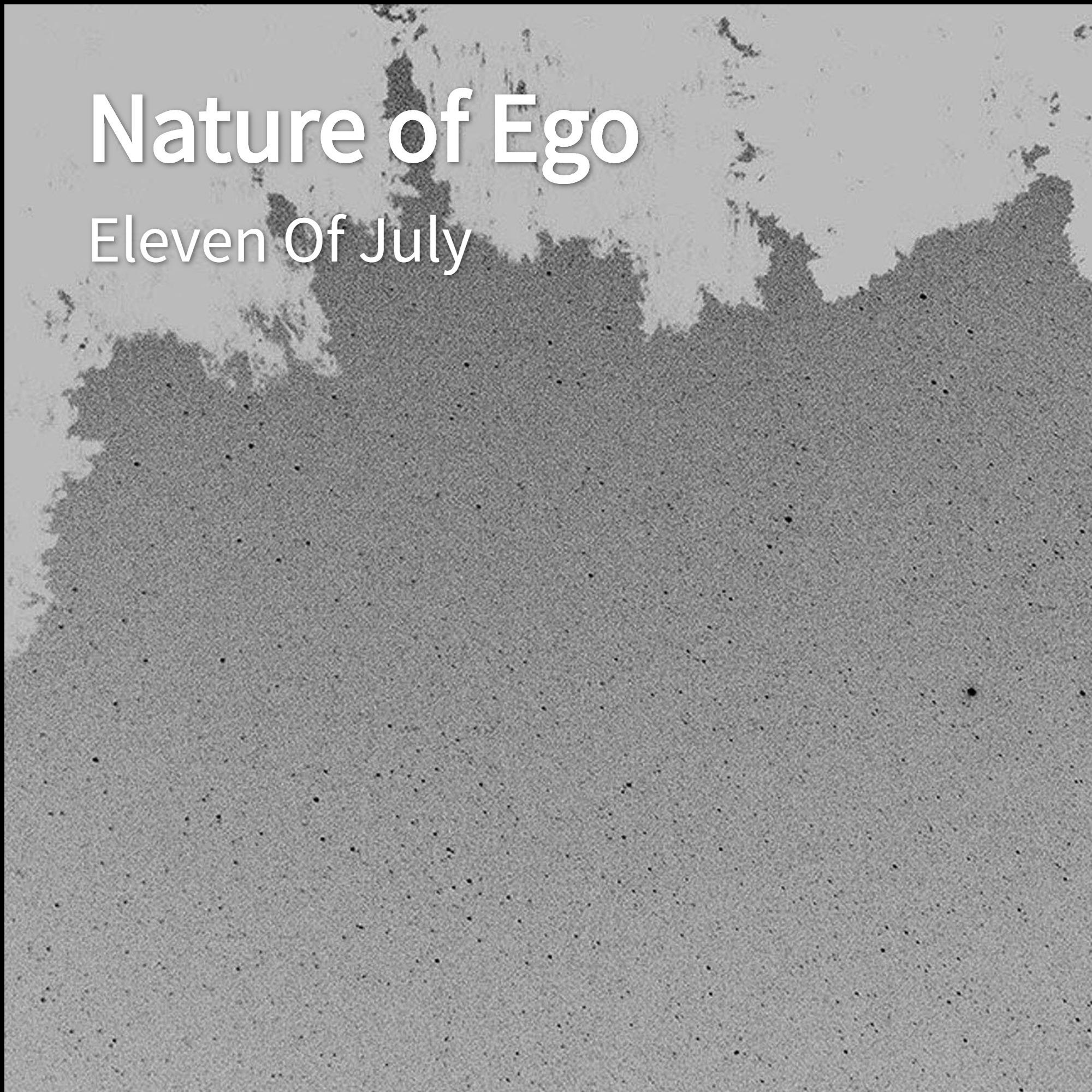 Nature of Ego