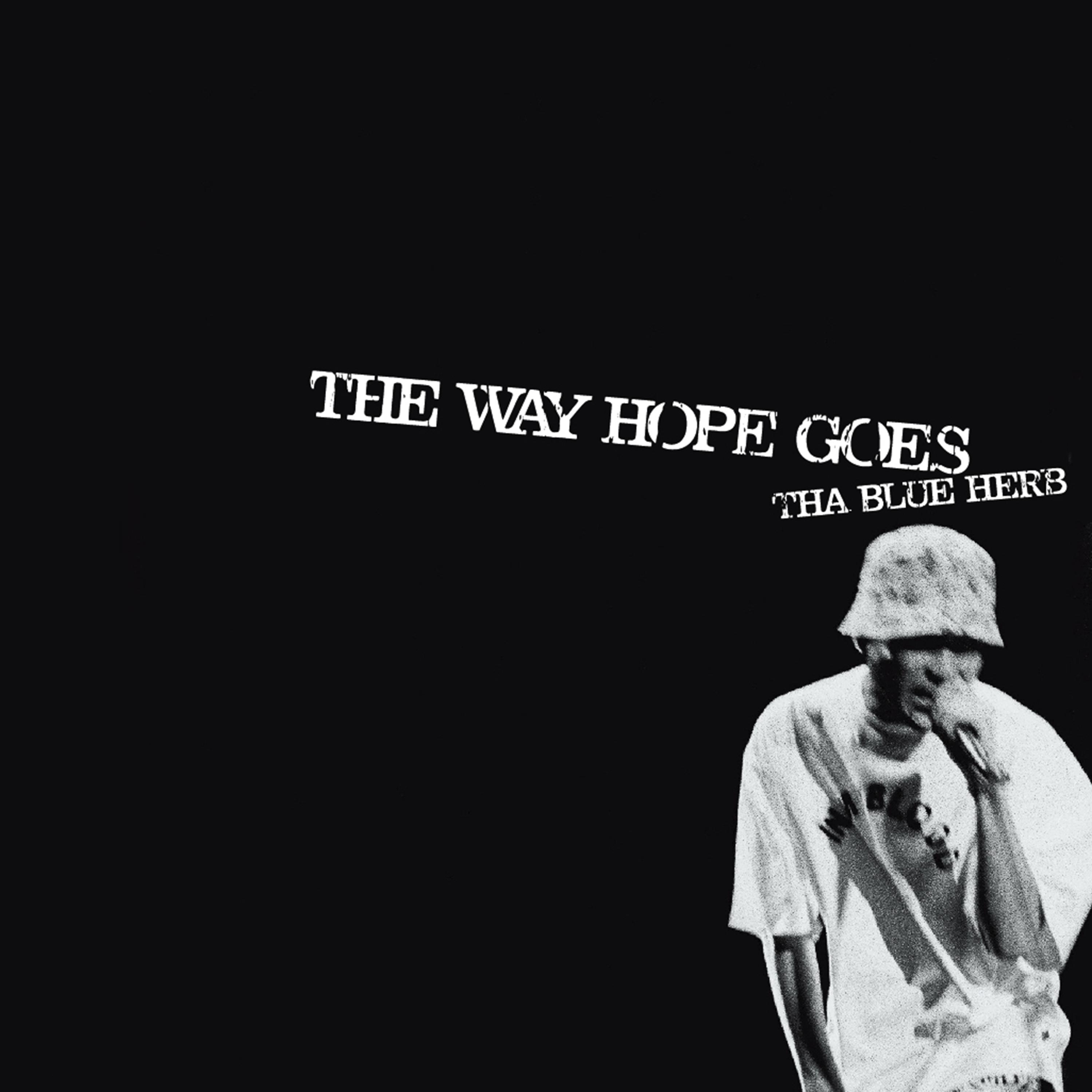 THE WAY HOPE GOES  PUSHER ON THE STREET THAMEL TOWN DUB  zhi hui DUB