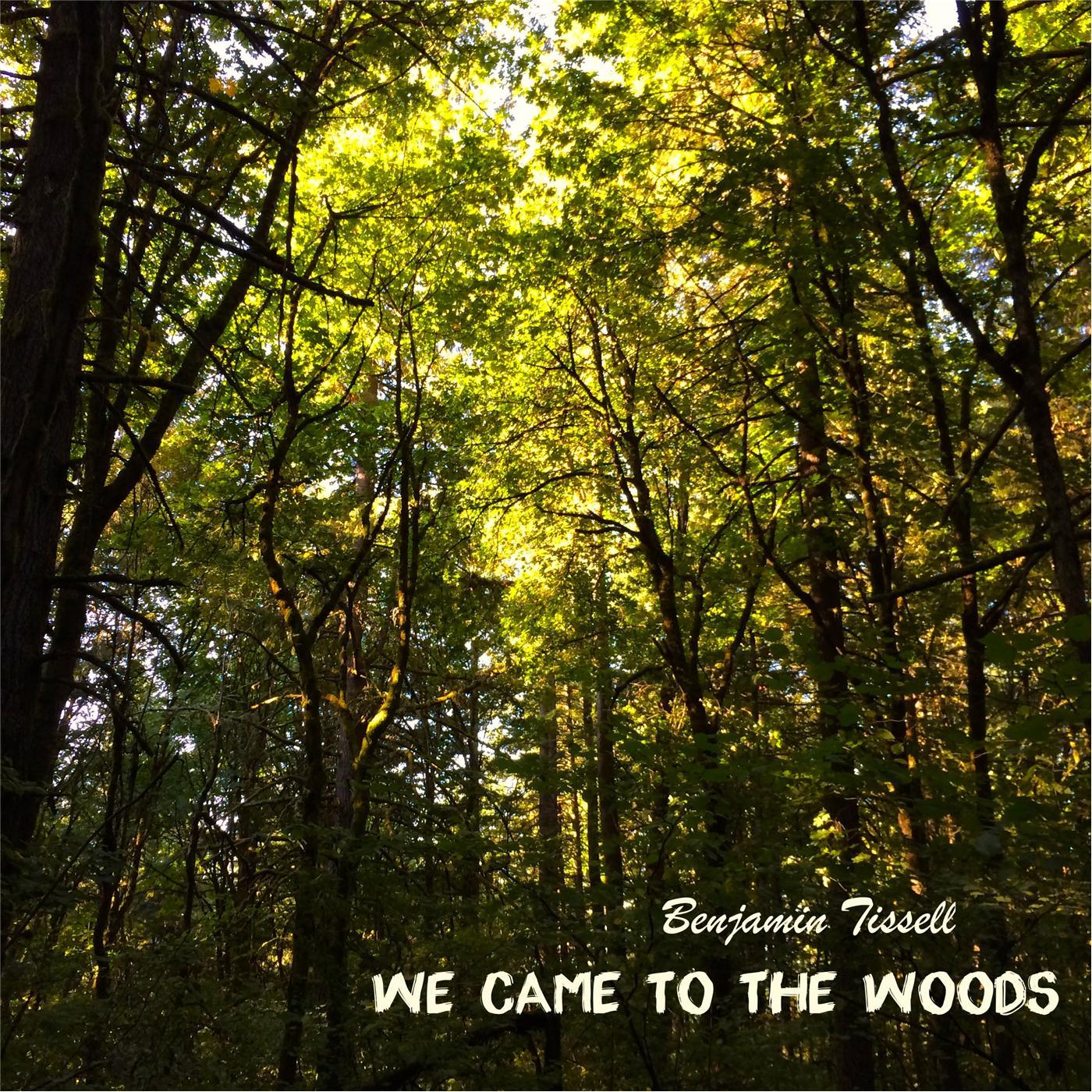 We Came to the Woods