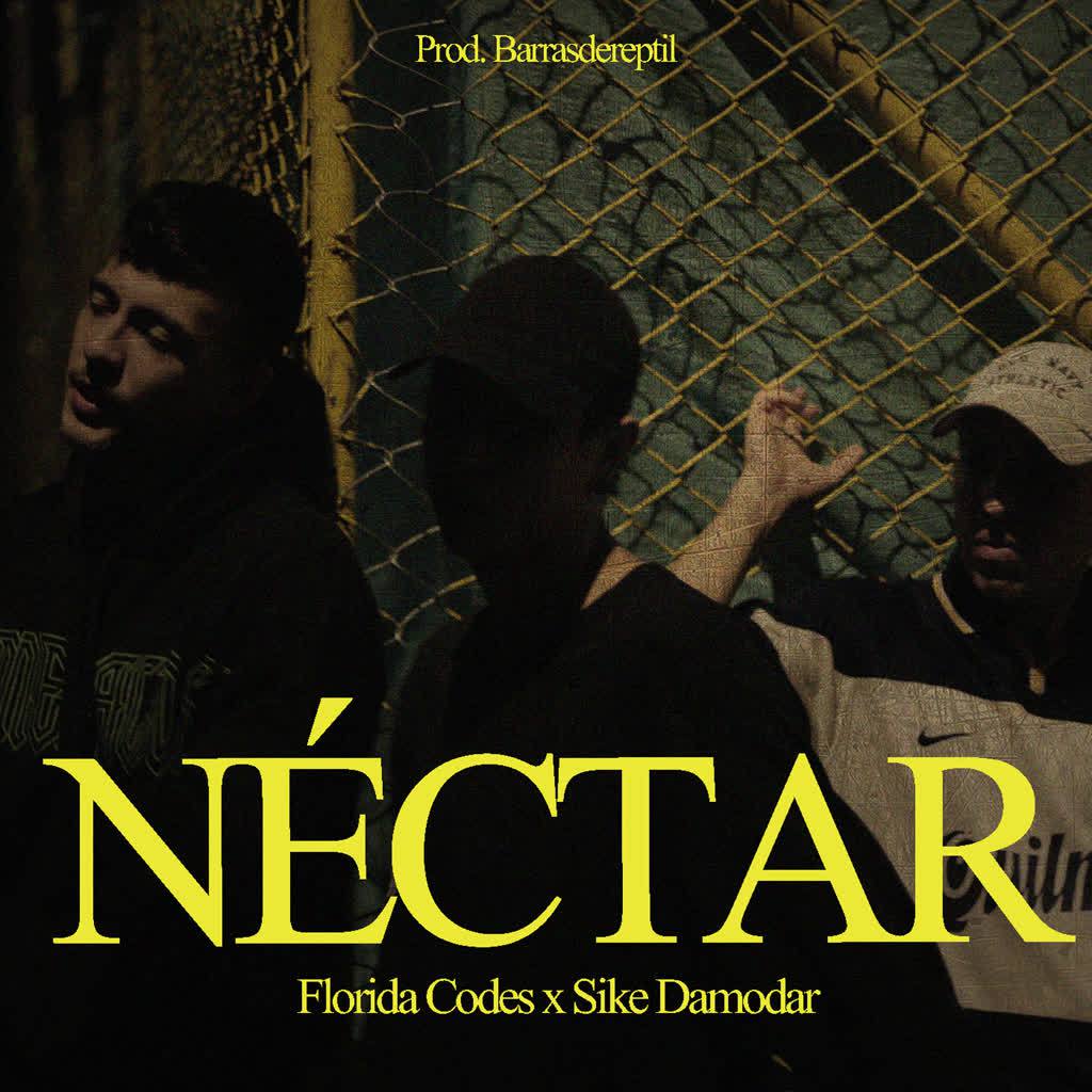 Ne ctar