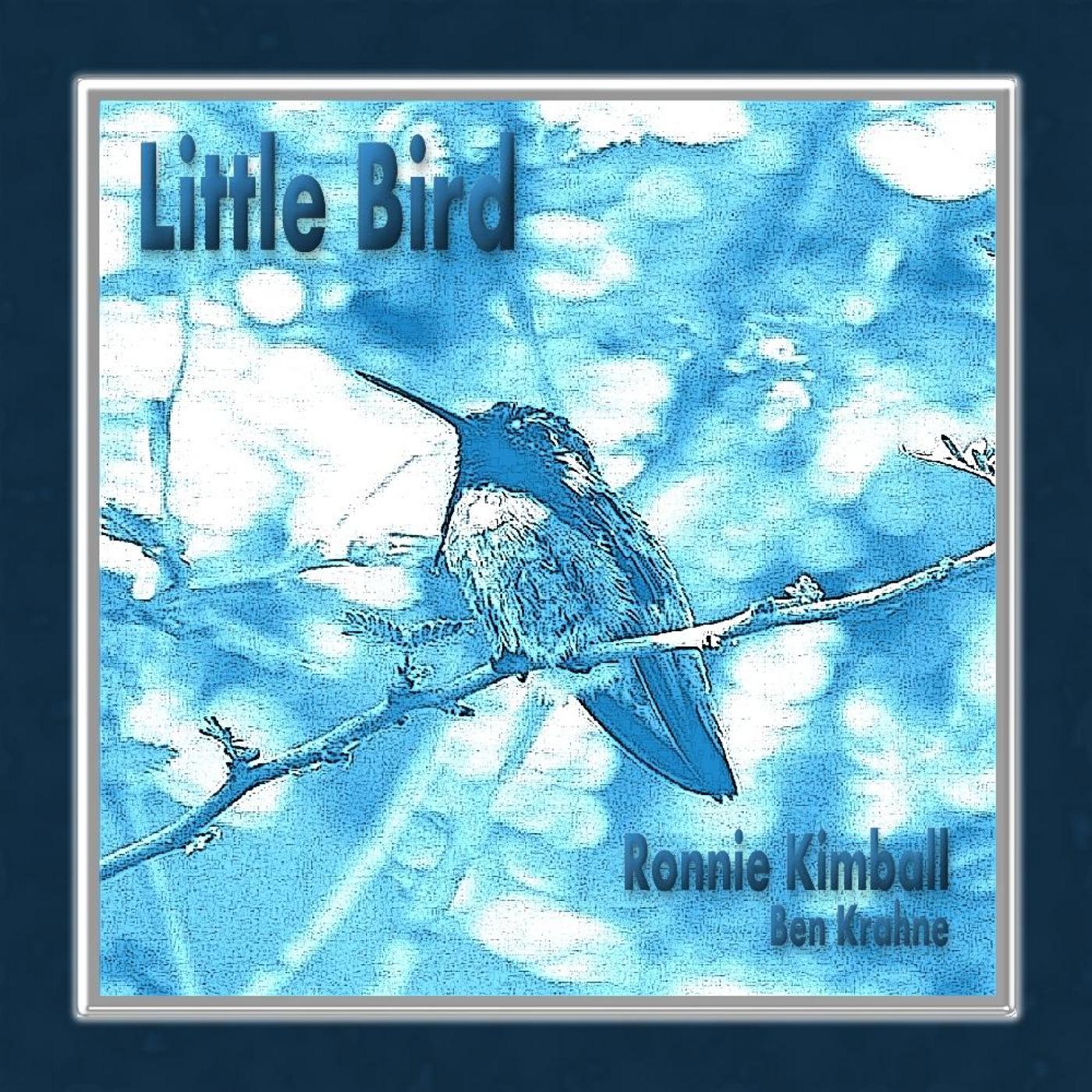 Little Bird