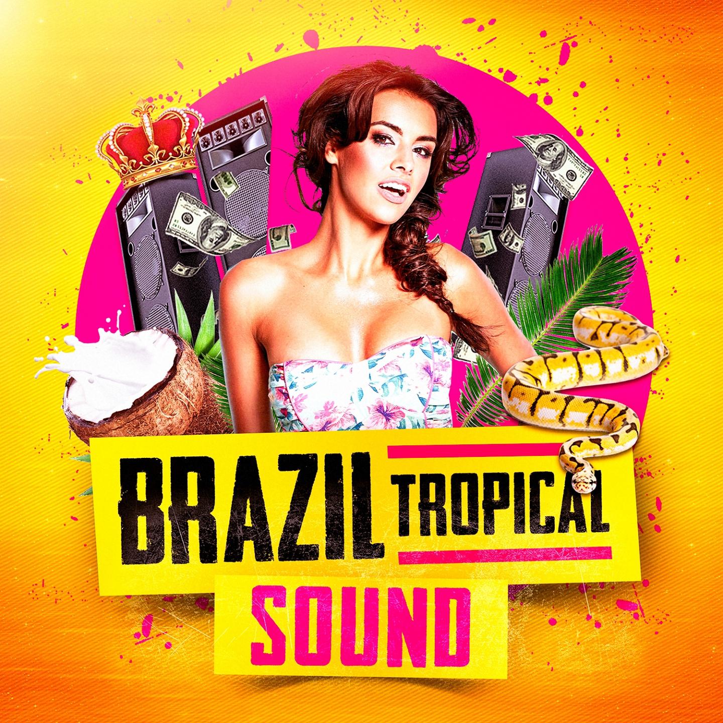 Brazil Tropical Sound