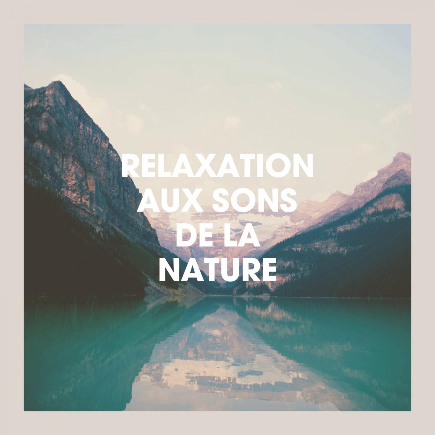 Relaxation Aux Sons De La Nature
