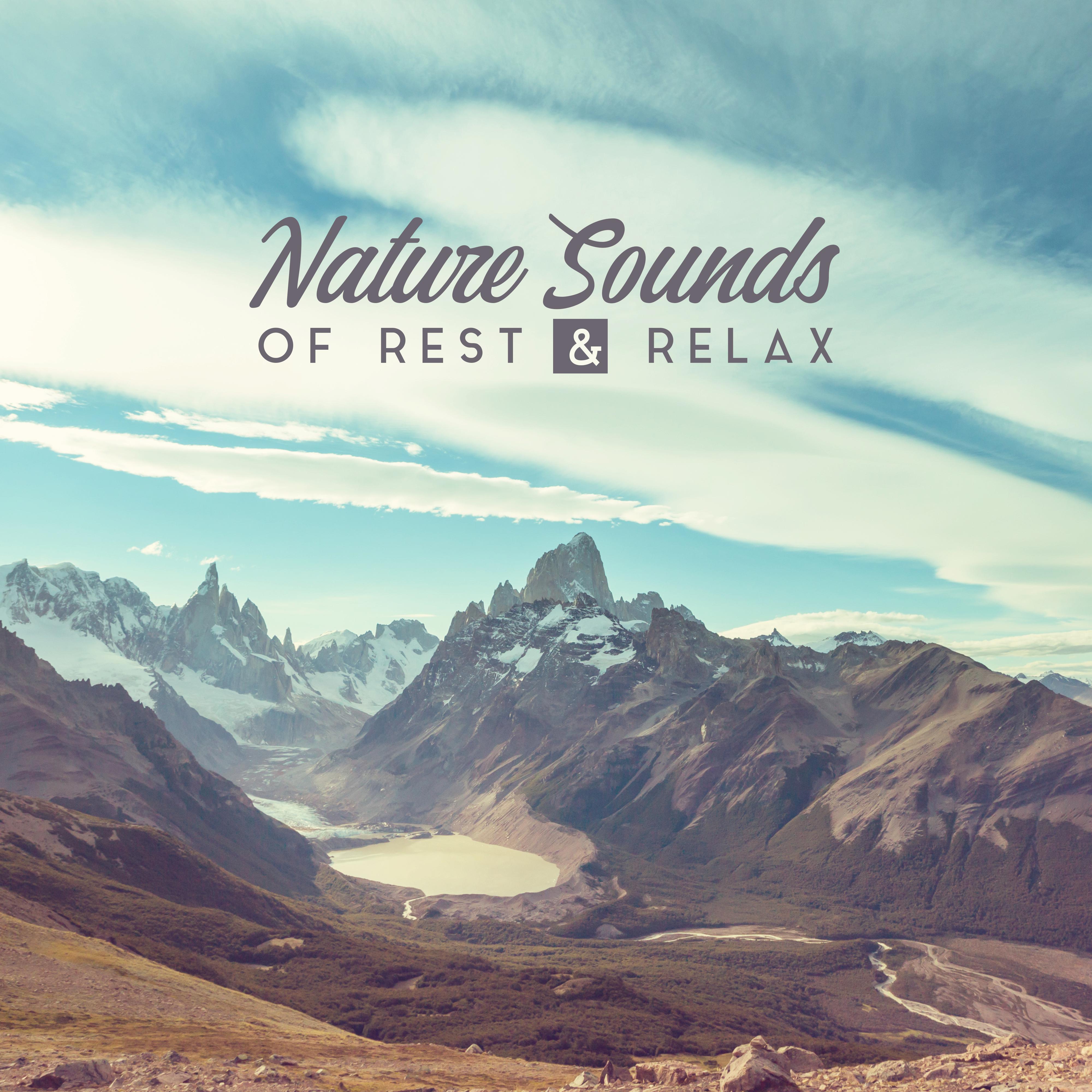 Nature Sounds of Rest & Relax: 2019 New Age Music with Nature Sounds for Relaxation, Rest After Work, Calming Down & Fight with Stress
