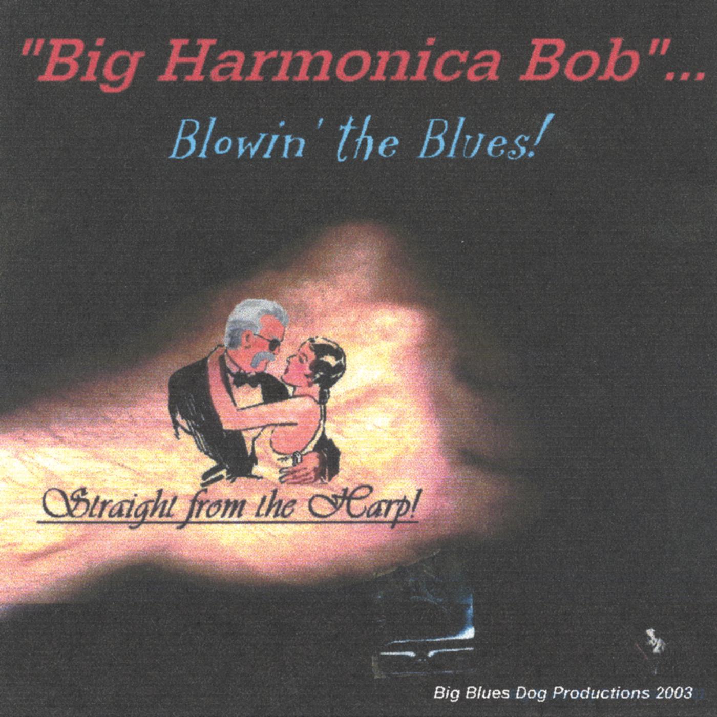 Big Harmonica Bob's Boogie