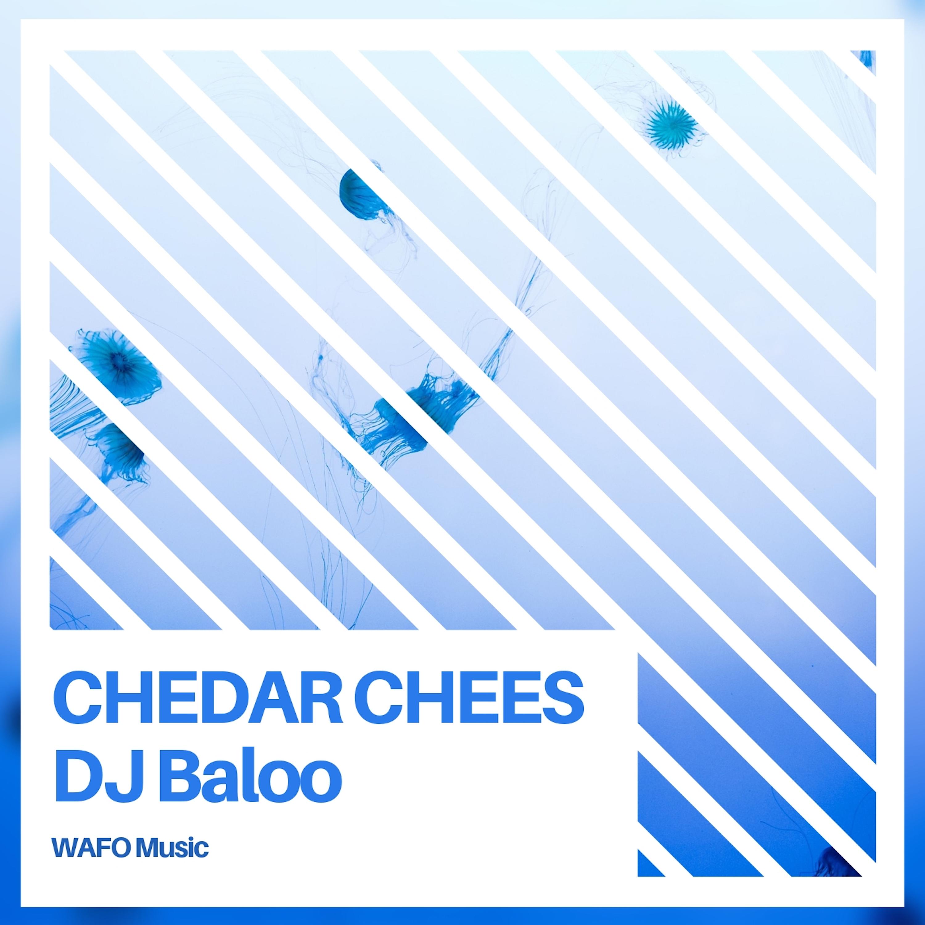 Chedar Chees