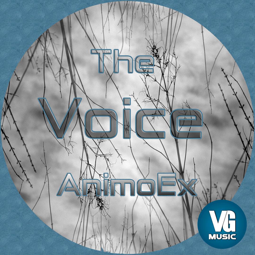 The Voice