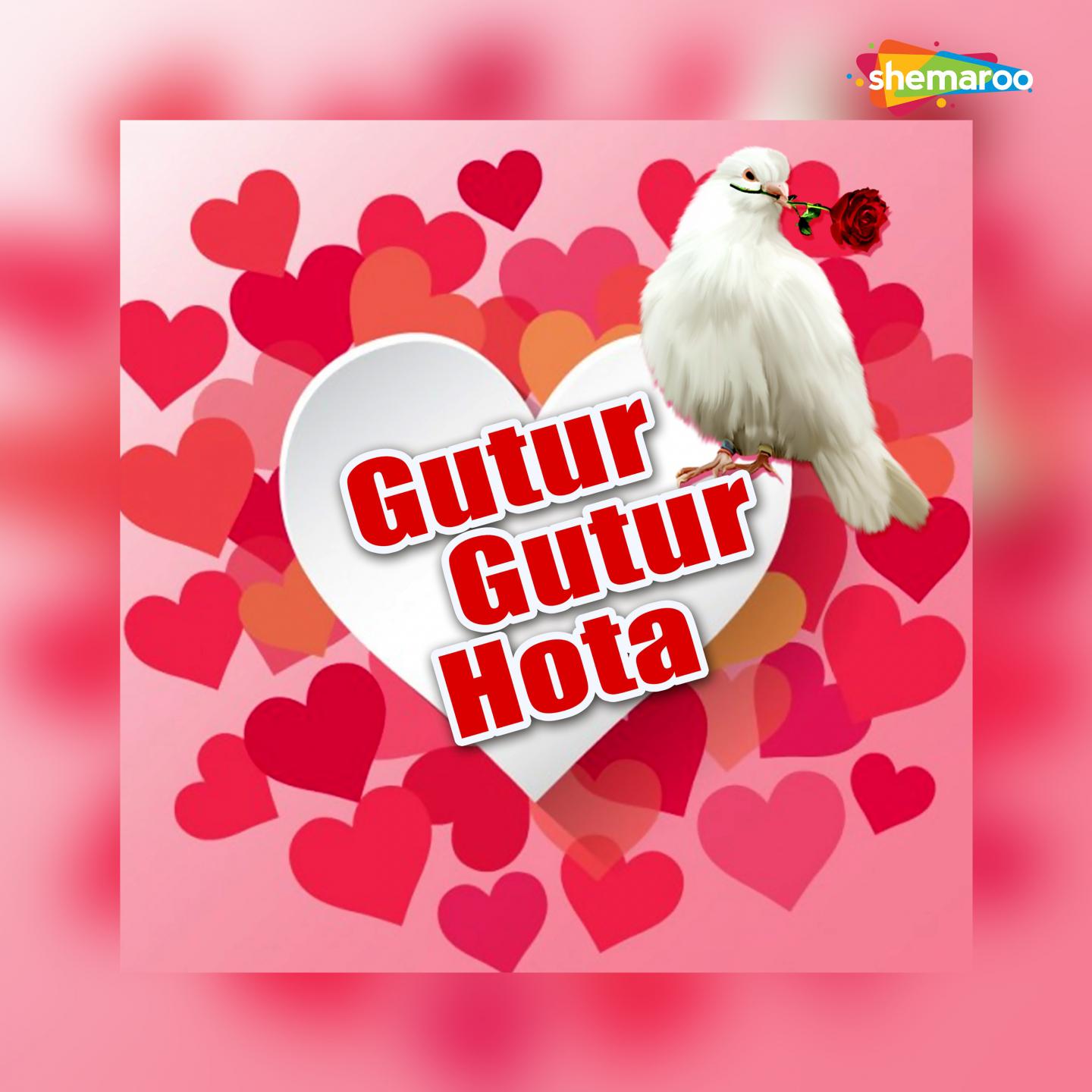 Gutur Gutur Hota