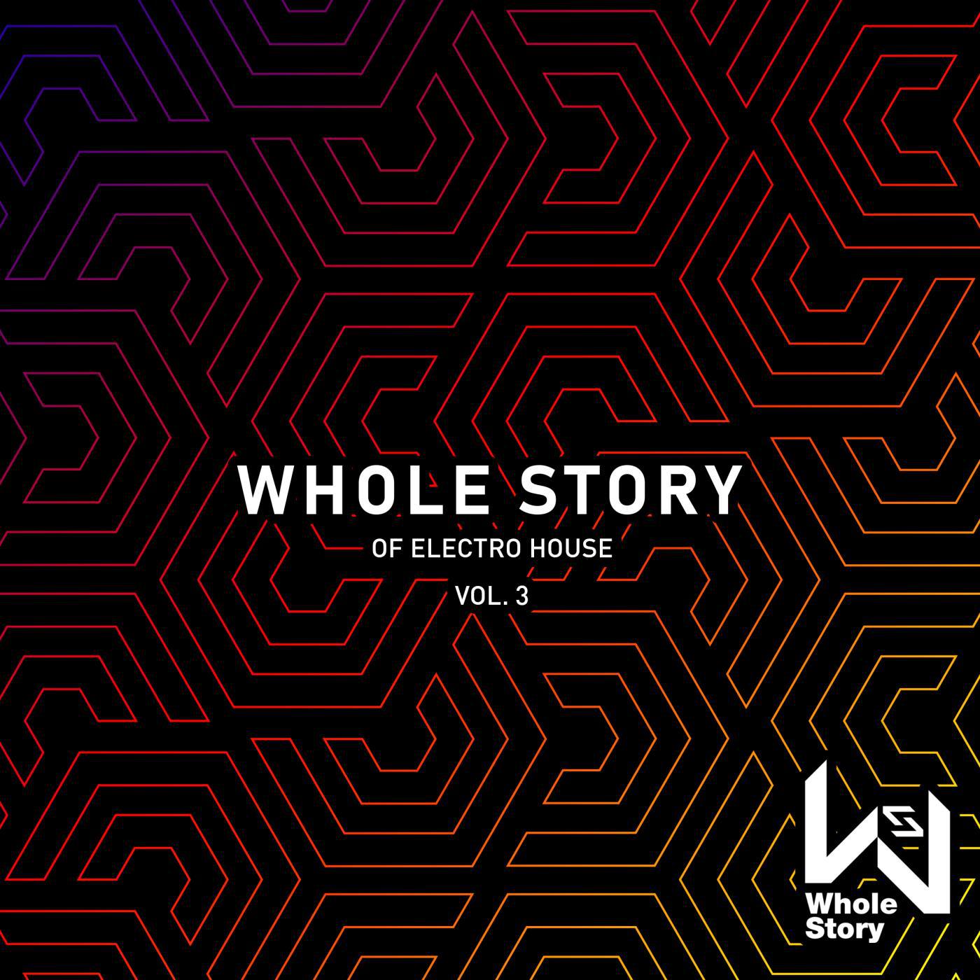 Whole Story Of Electro House Vol. 3