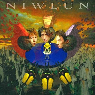 NIWLUN