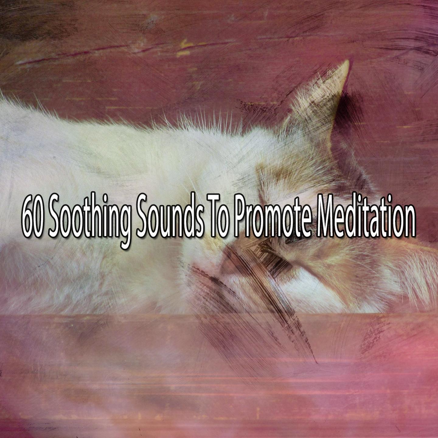60 Soothing Sounds to Promote Meditation