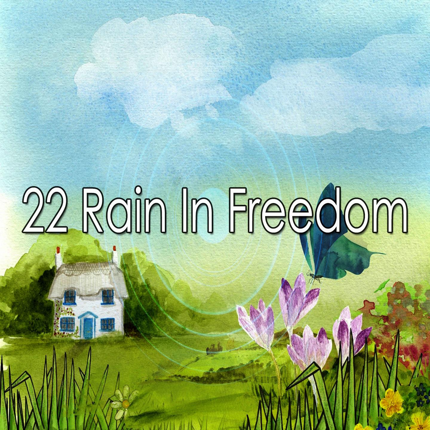 22 Rain in Freedom
