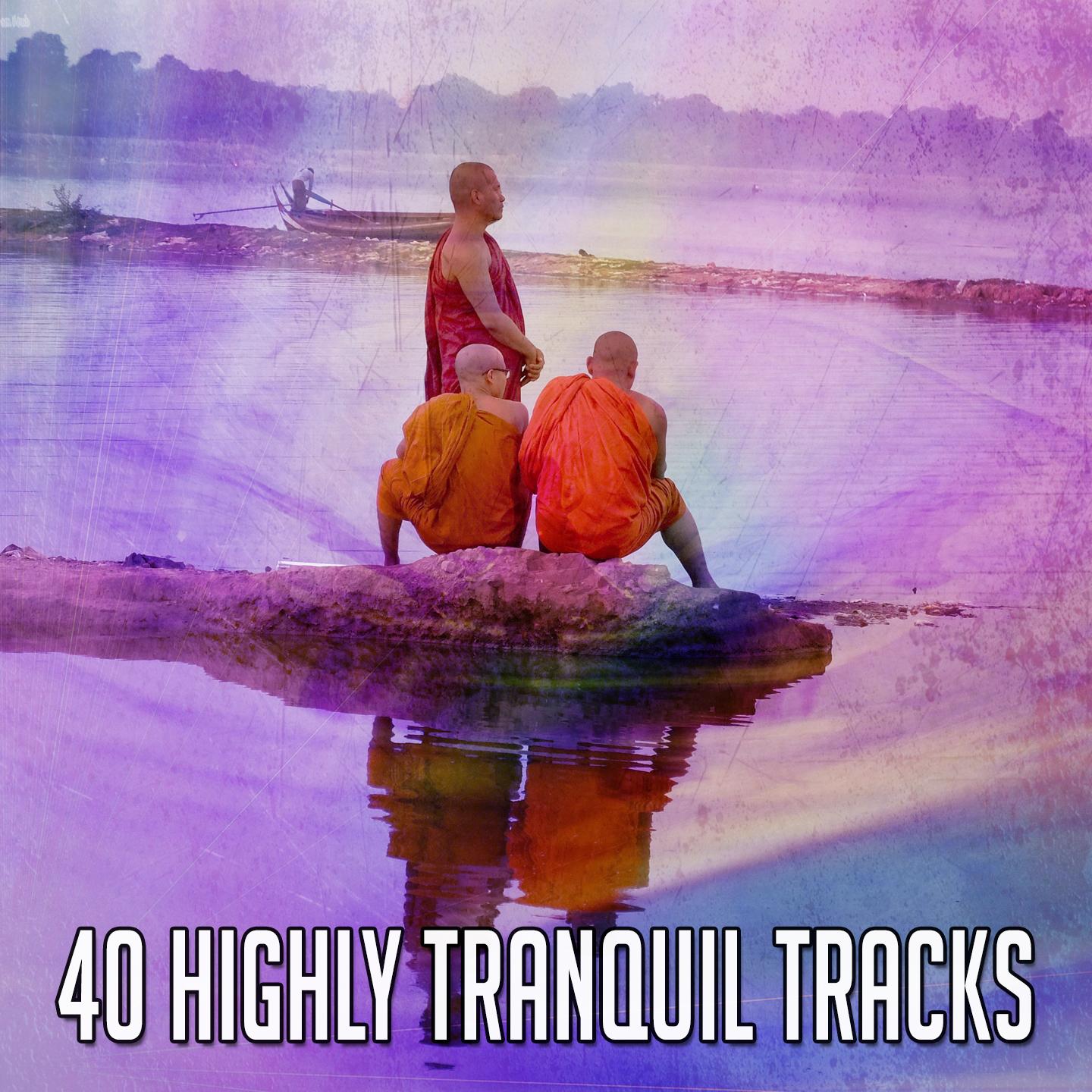 40 Highly Tranquil Tracks