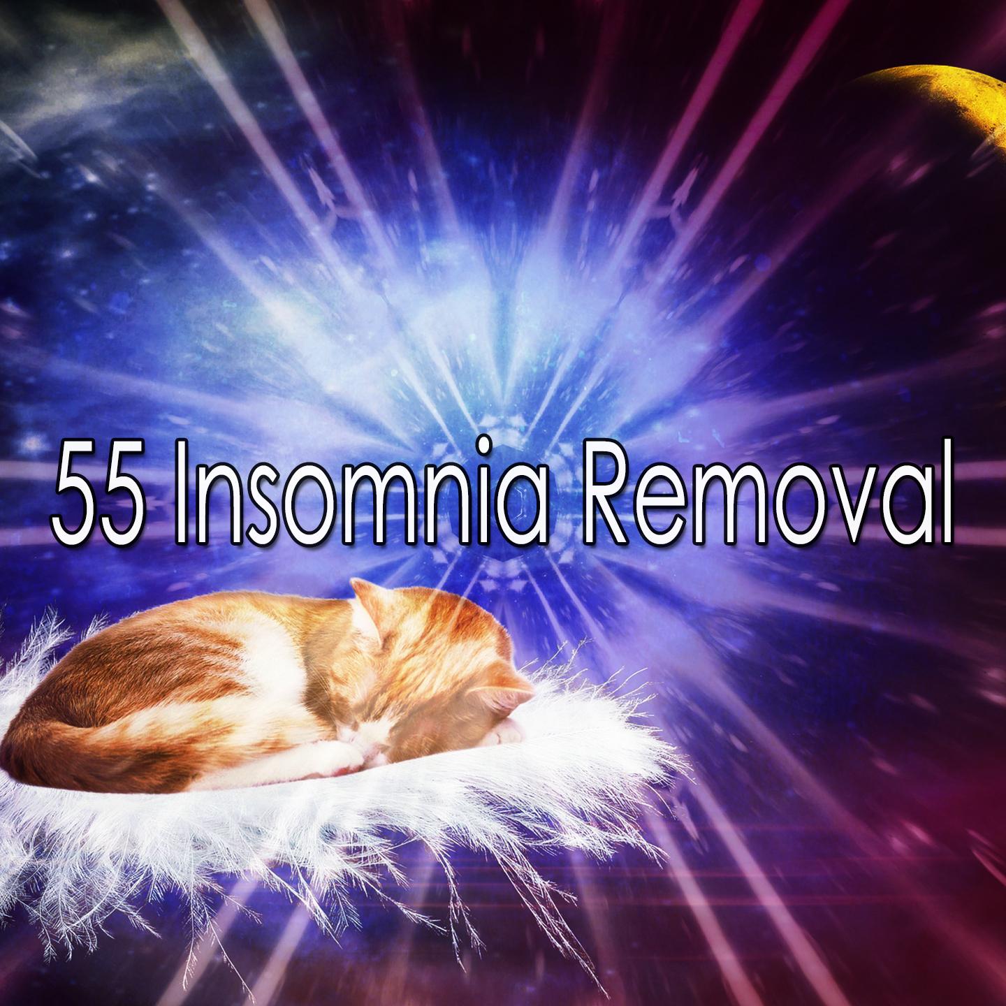 55 Insomnia Removal