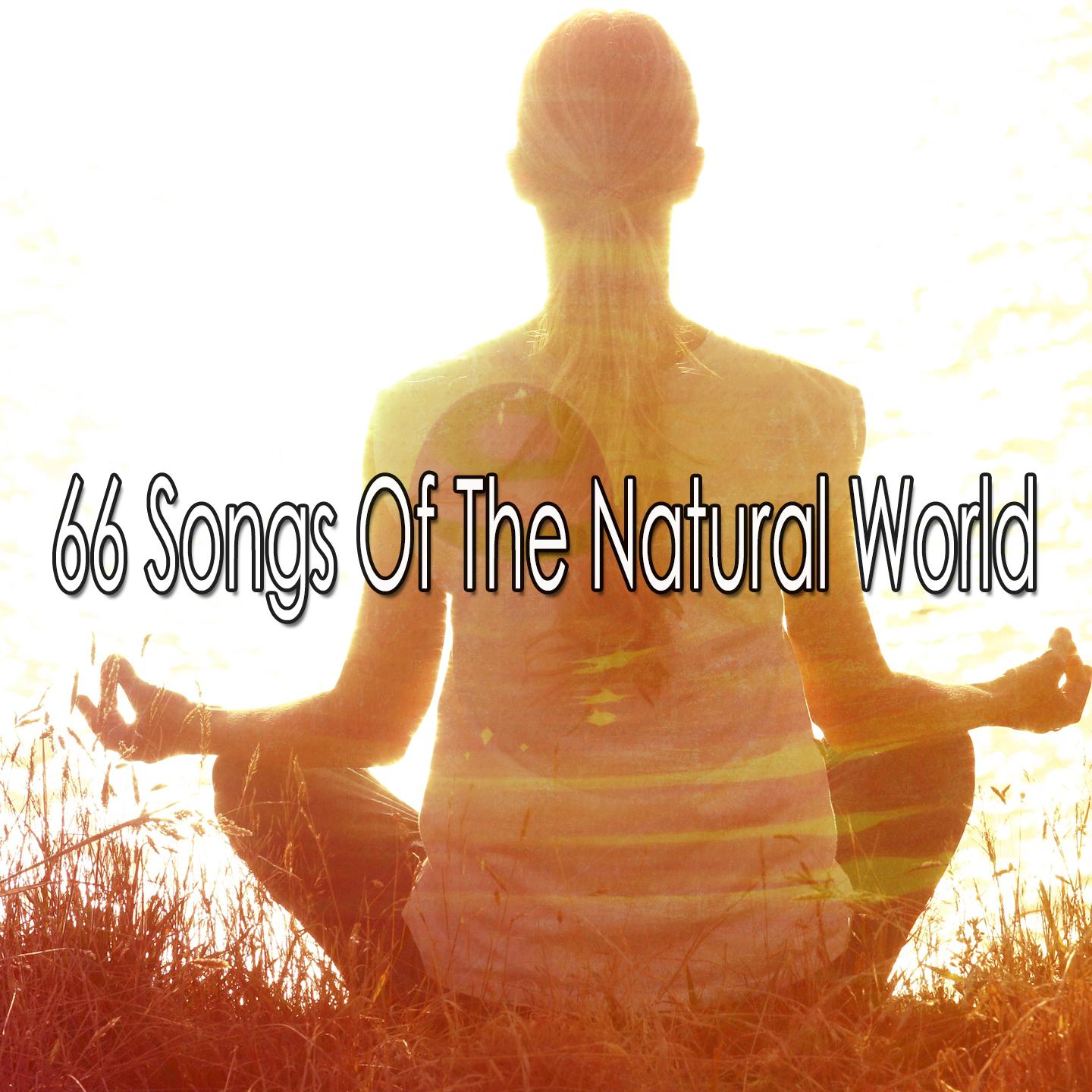 66 Songs of the Natural World
