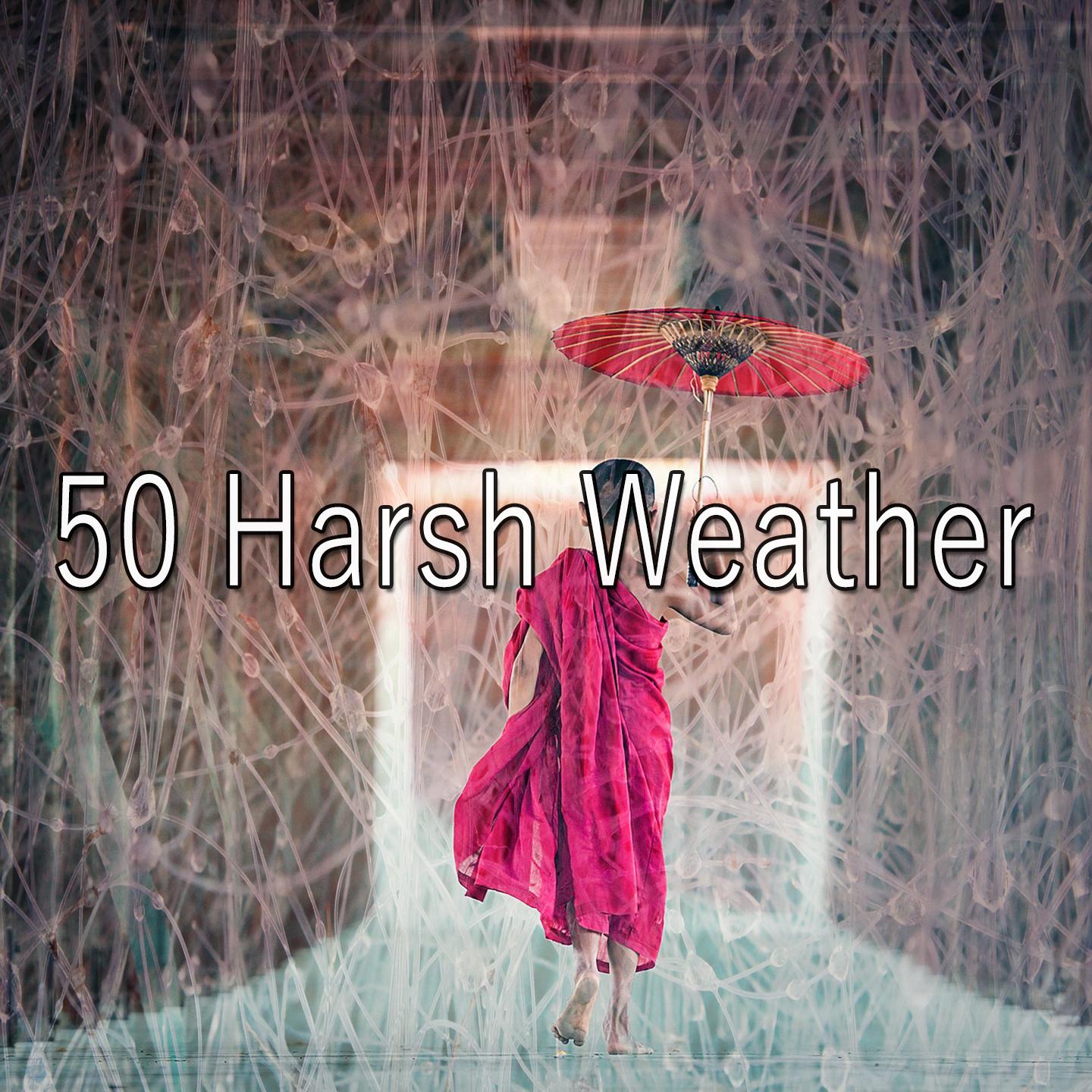 50 Harsh Weather