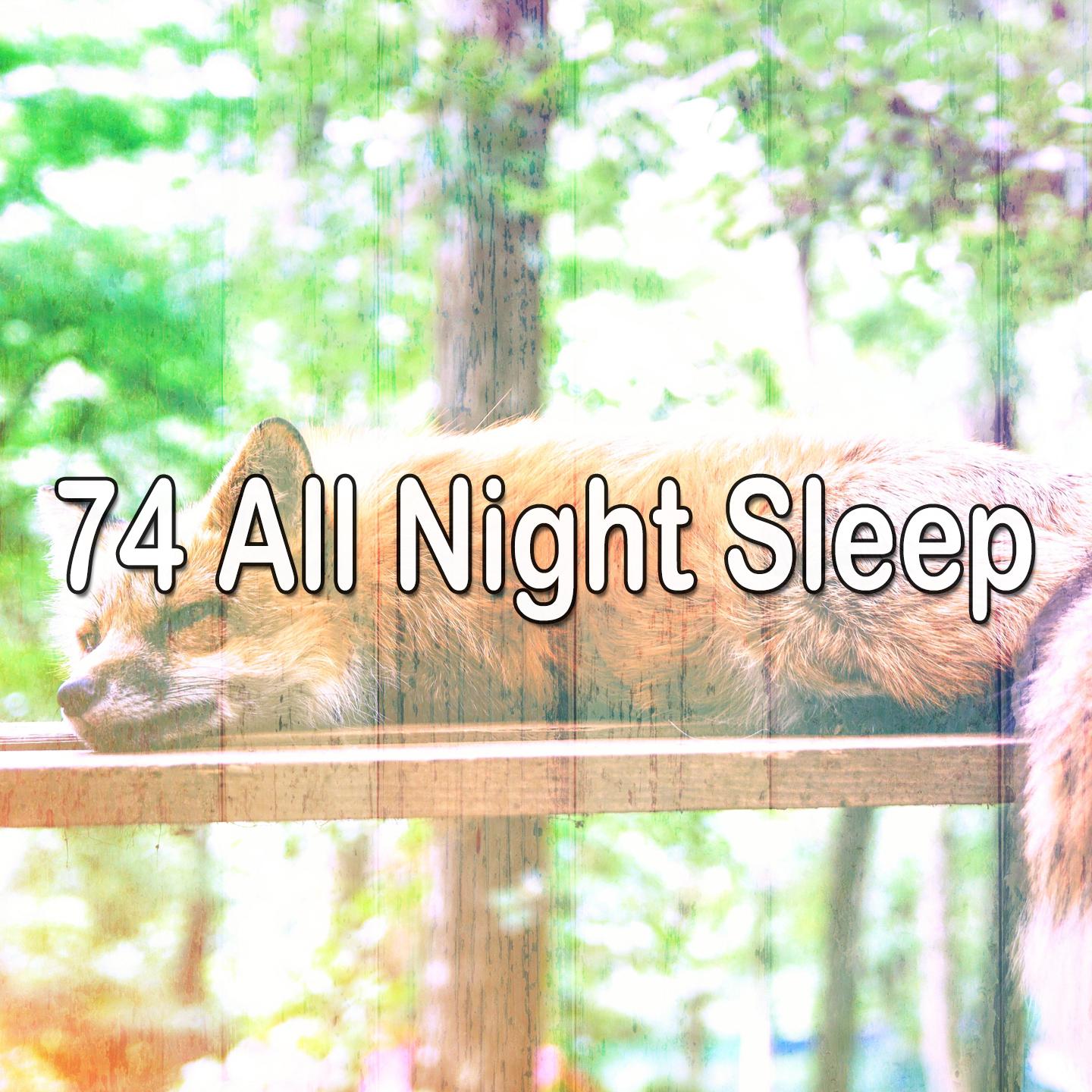 74 All Night Sleep