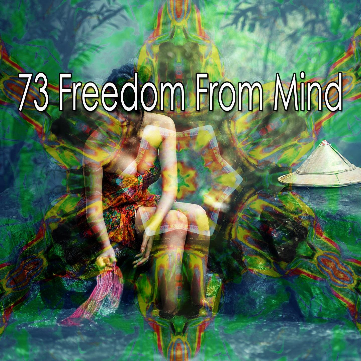 73 Freedom from Mind