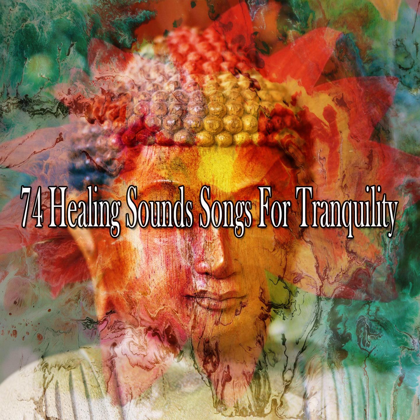 74 Healing Sounds Songs for Tranquility