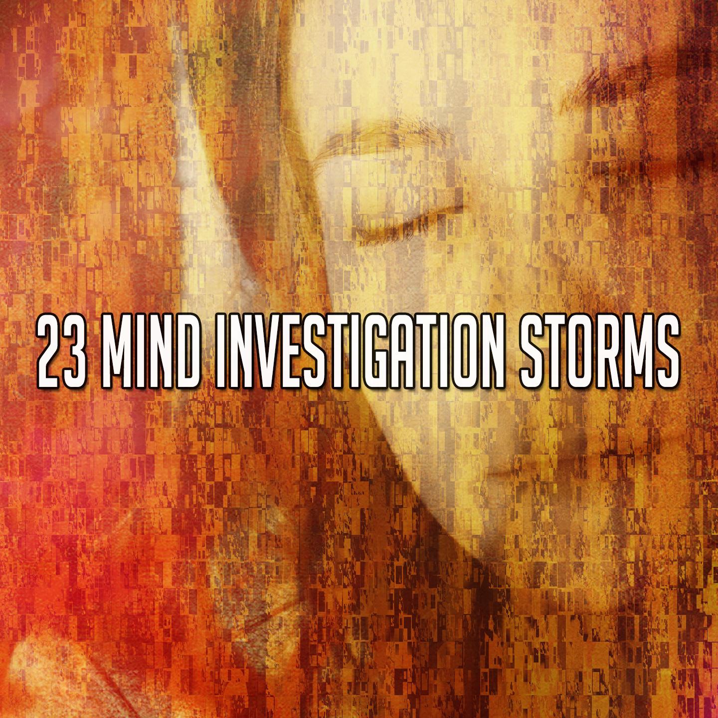 23 Mind Investigation Storms