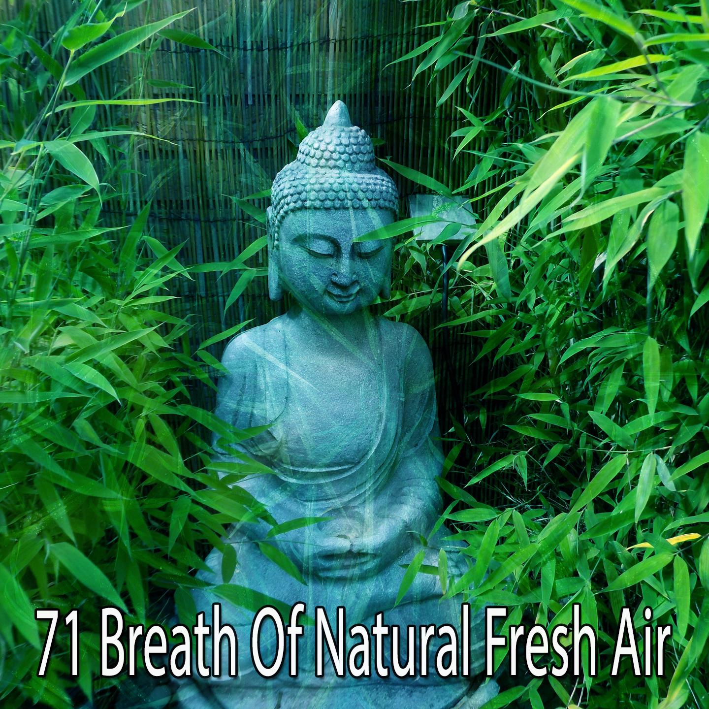 71 Breath of Natural Fresh Air