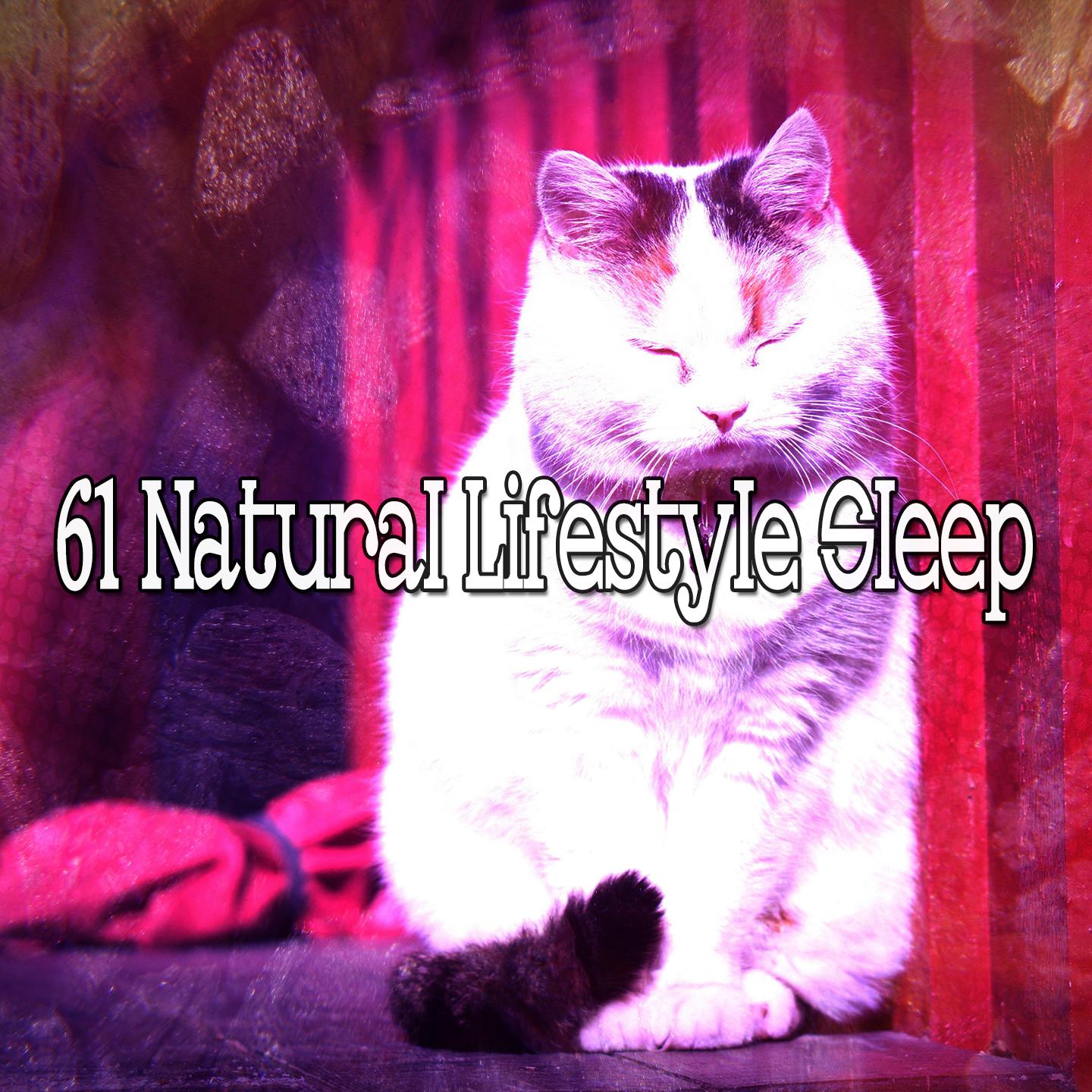 61 Natural Lifestyle Sleep