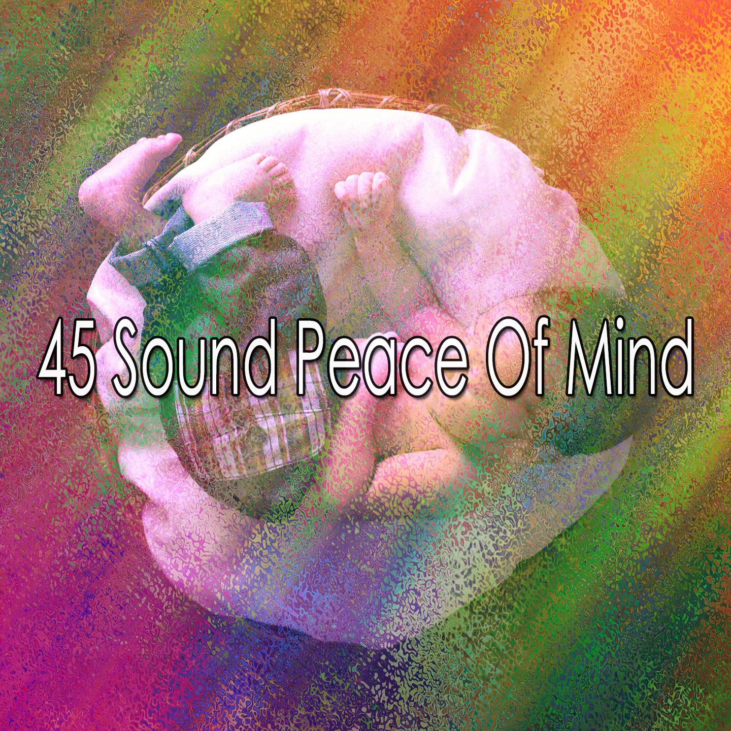 45 Sound Peace of Mind
