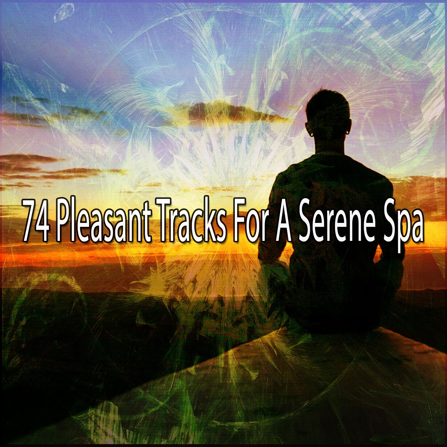 74 Pleasant Tracks for a Serene Spa