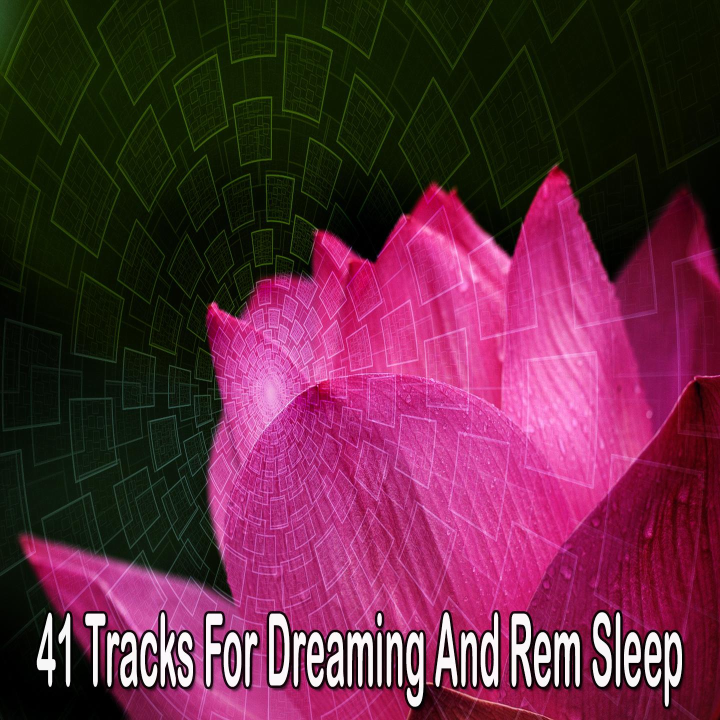41 Tracks for Dreaming and Rem Sleep