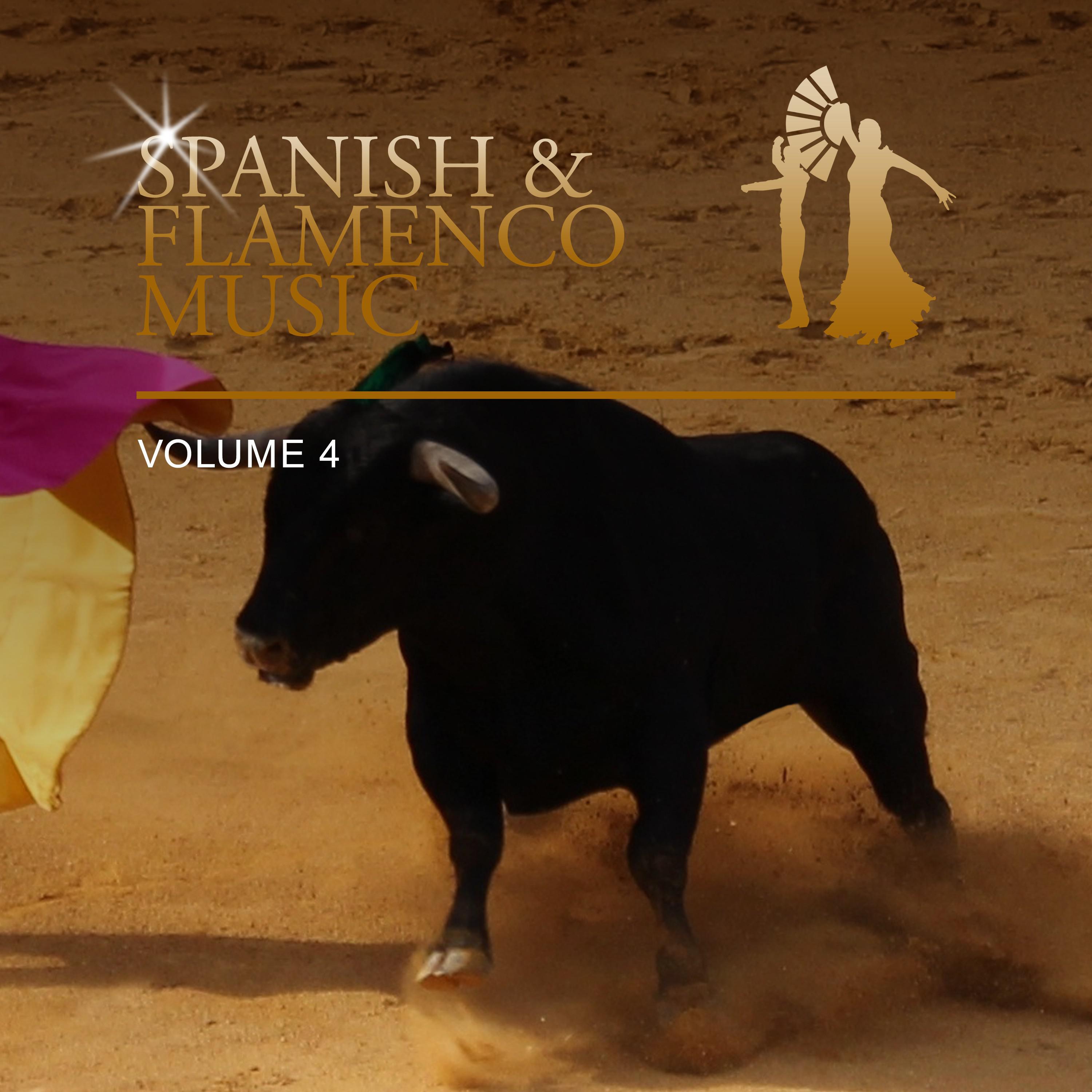 Spanish & Flamenco Music, Vol. 4