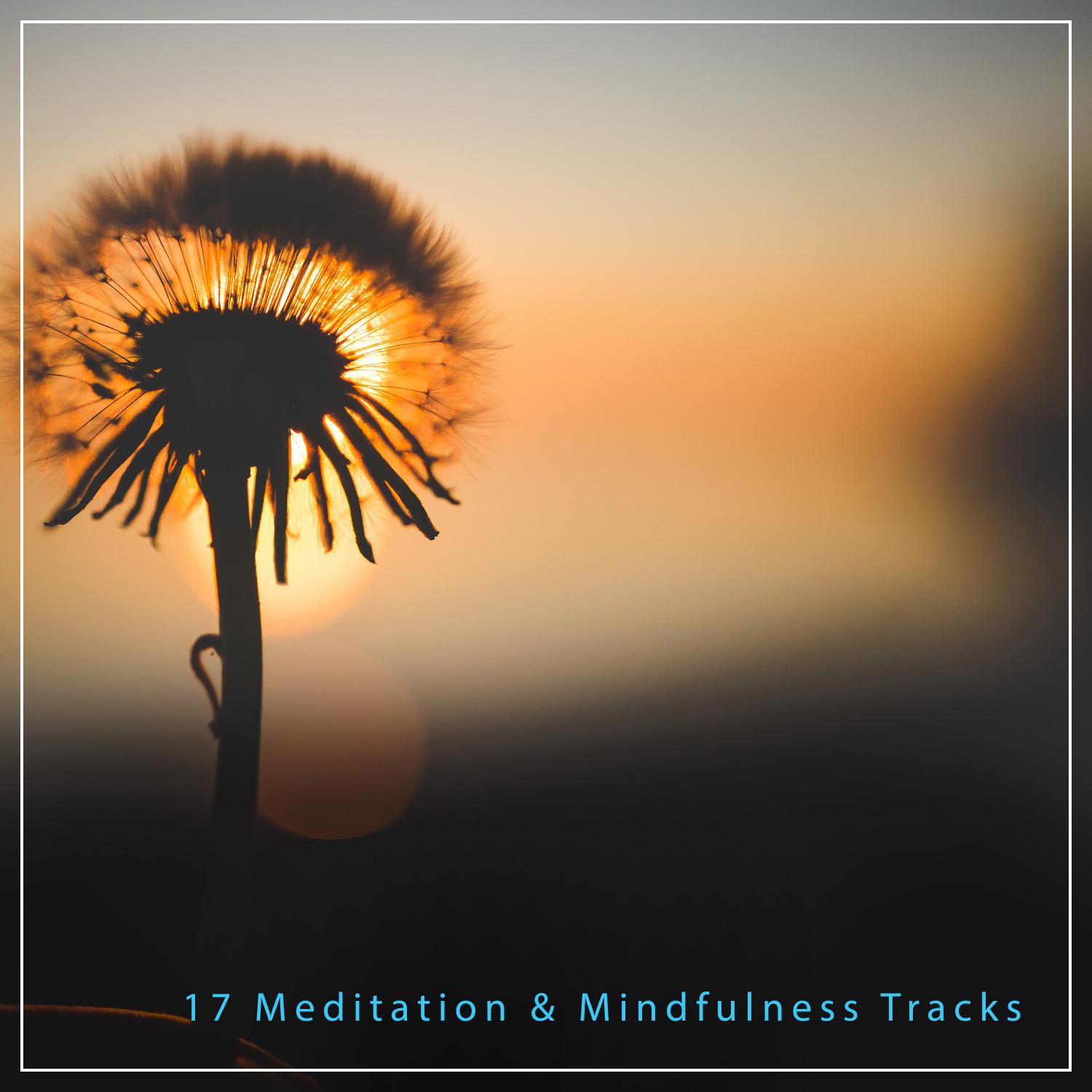17 Relaxing Meditation & Mindfulness Tracks