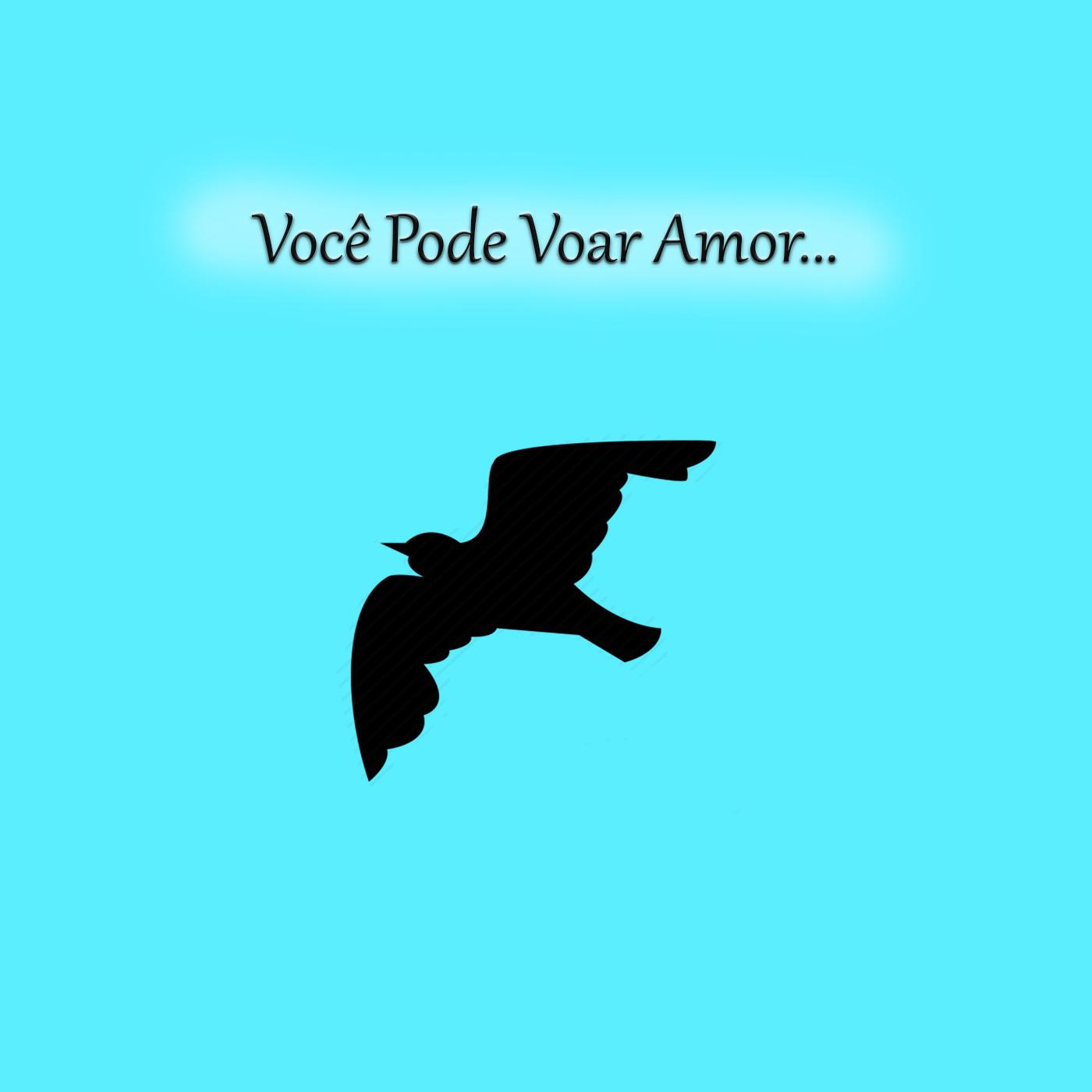 Voc Pode Voar Amor...