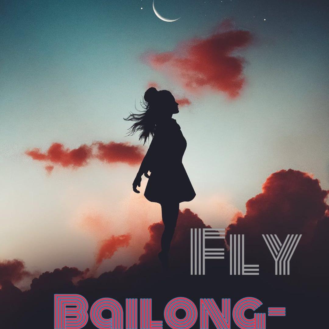 Fly