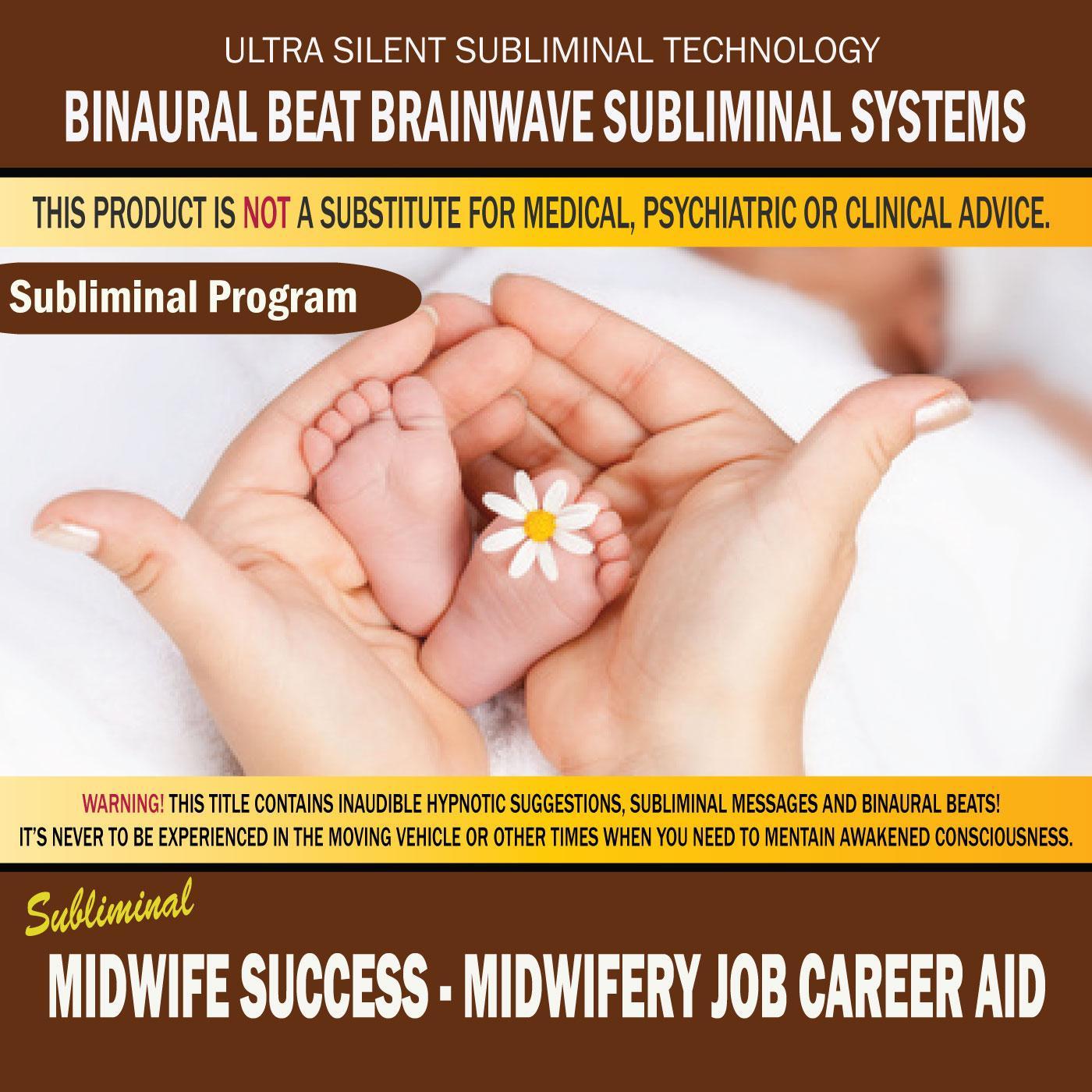 Midwife Success: Midwifery Job Career Aid